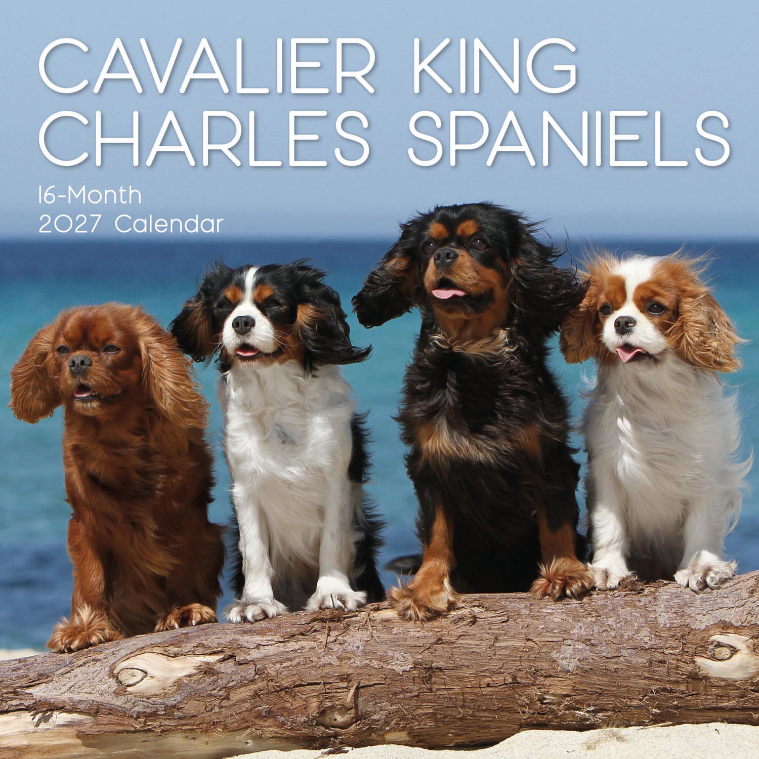 Animals_Dogs_Cavalier_King_Charles_Spaniels_2027_Cover.jpg