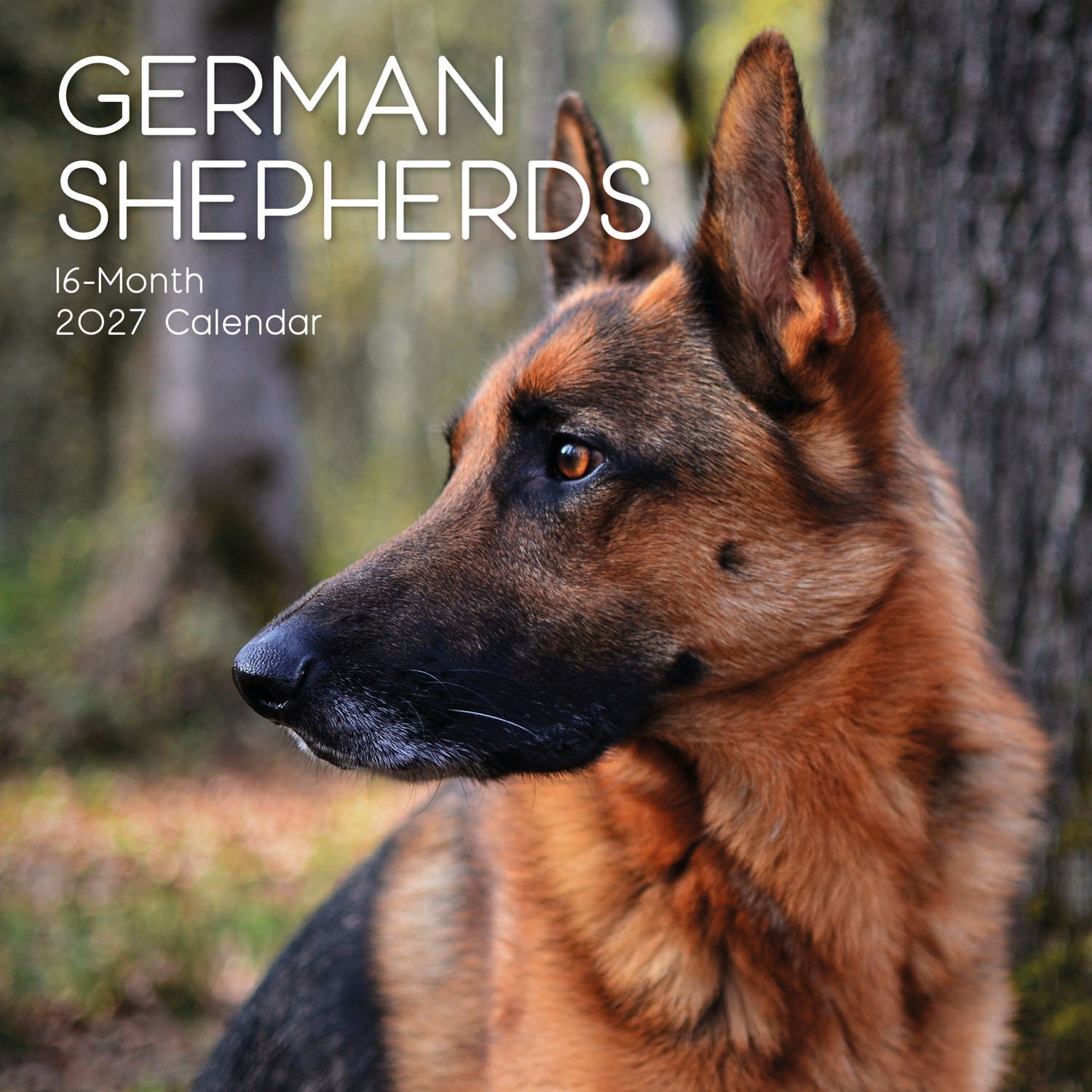 Animals_Dogs_German_Shepherds_2027_Cover.jpg