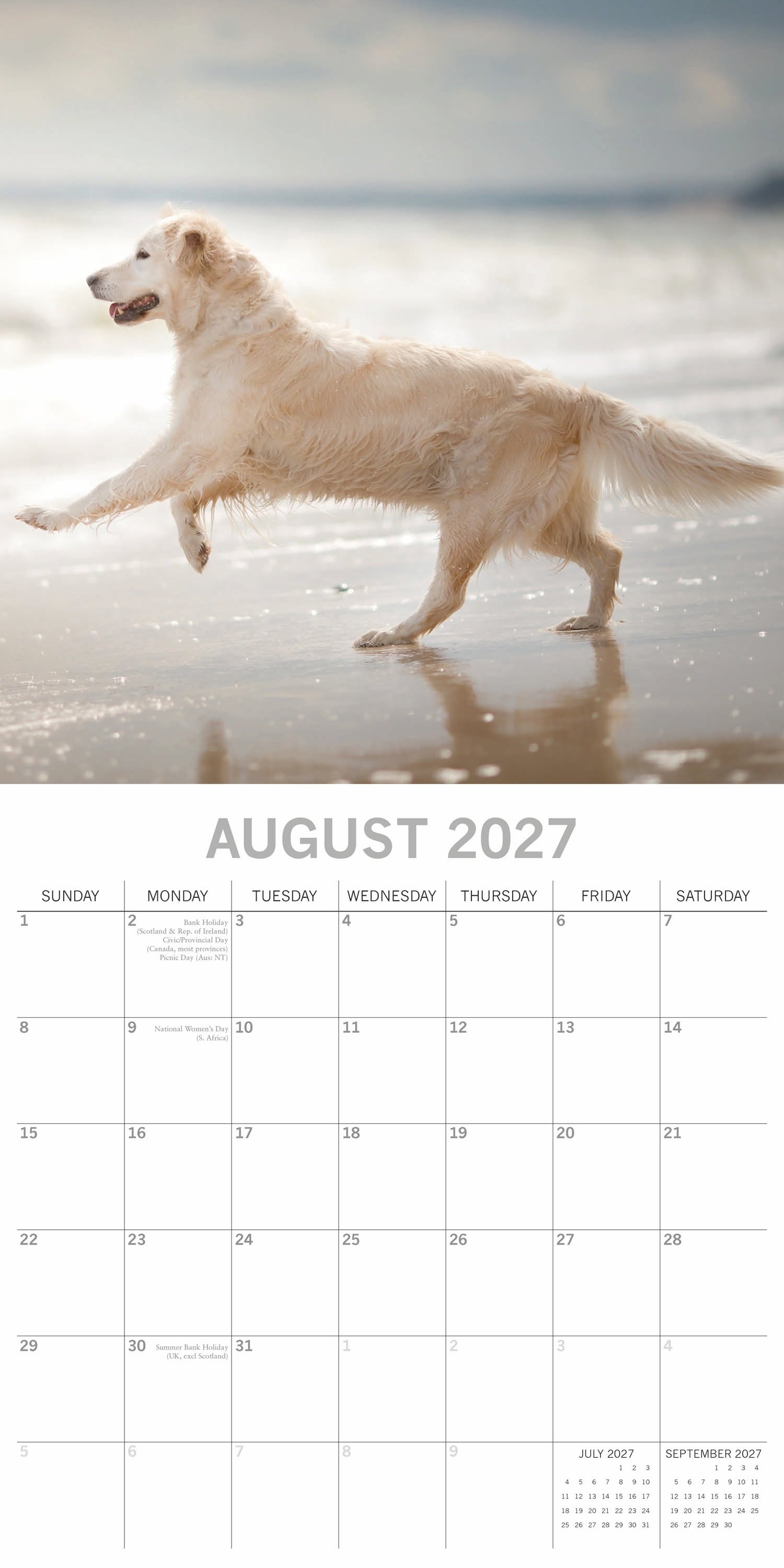 Animals_Dogs_Golden_Retrievers_2027_Aug.jpg