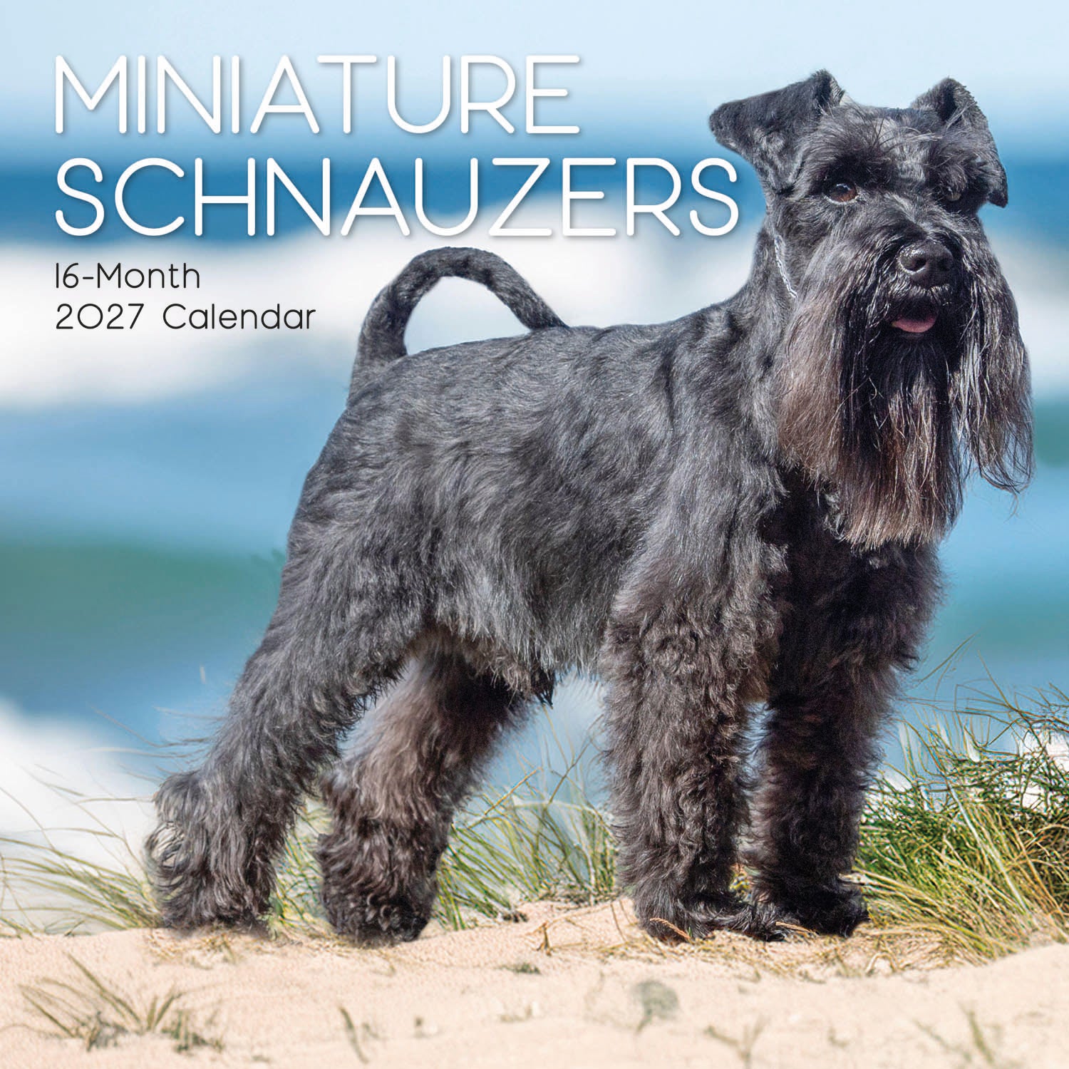 Animals_Dogs_Miniature_Schnauzers_2027_Cover.jpg