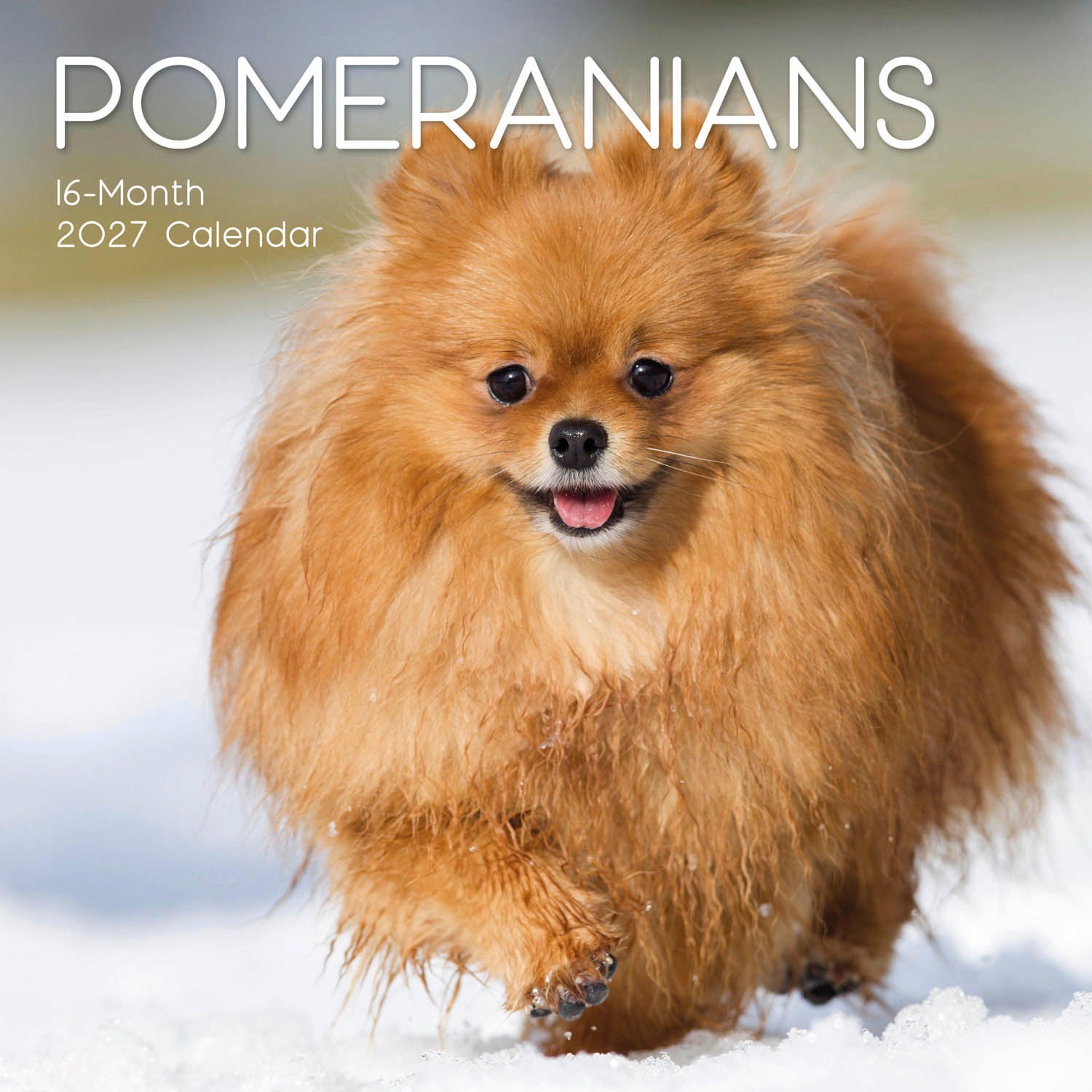 Animals_Dogs_Pomeranians_2027_Cover.jpg