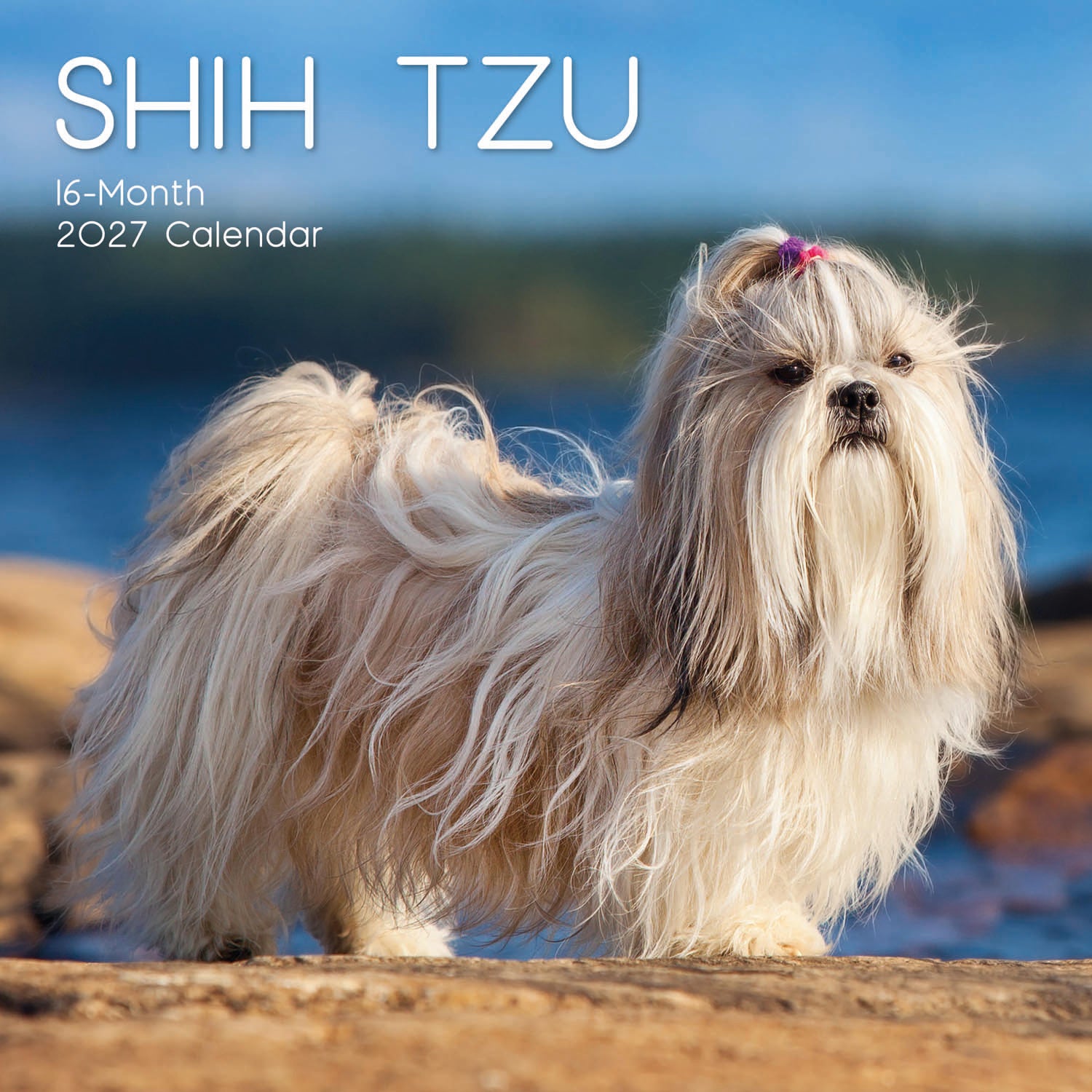 Animals_Dogs_Shih_Tzu_2027_Cover.jpg