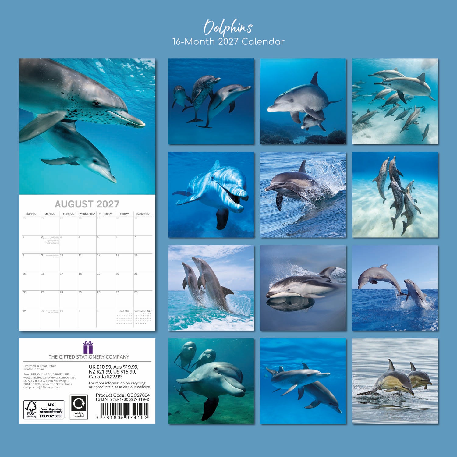 Animals_Dolphins_2027_Back.jpg