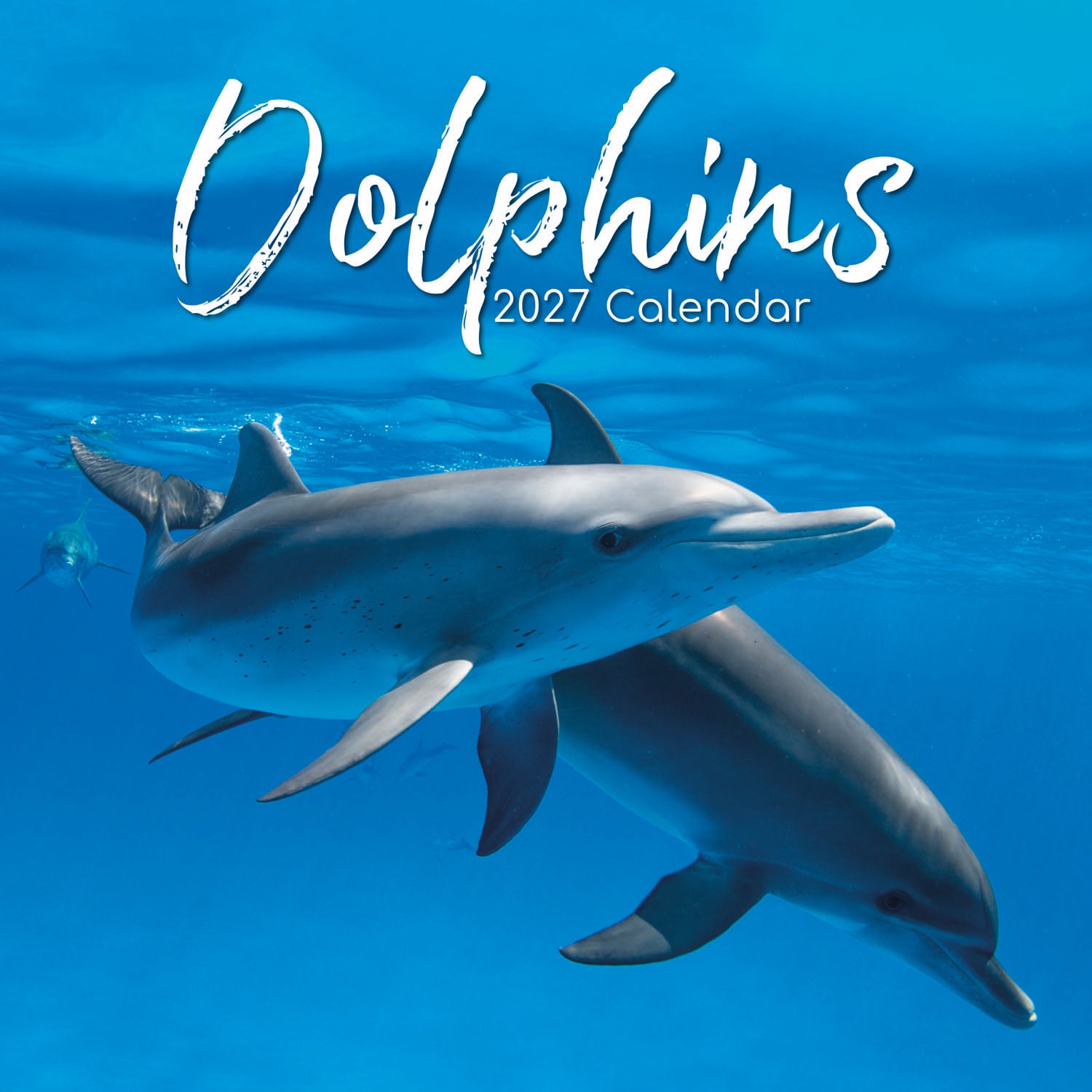 Animals_Dolphins_2027_Cover.jpg