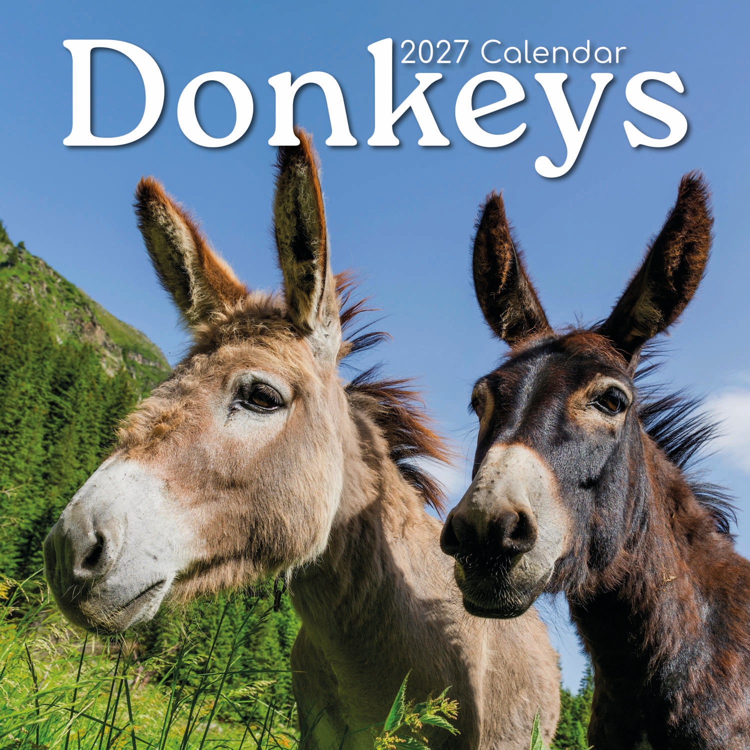 Animals_Donkeys_2027_Cover.jpg