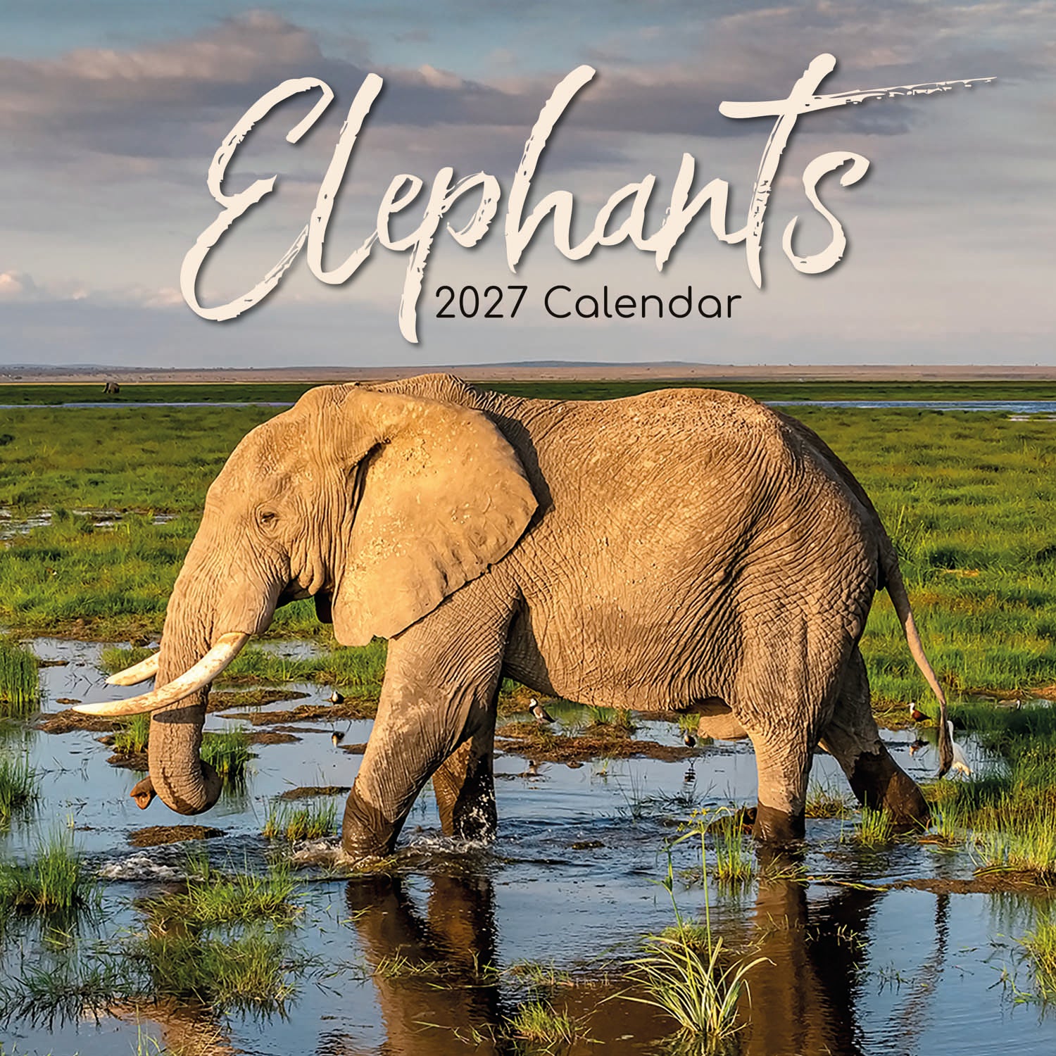 Animals_Elephants_2027_Cover.jpg