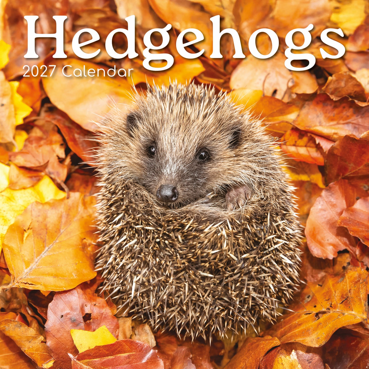 Animals_Hedgehogs_2027_Cover.jpg
