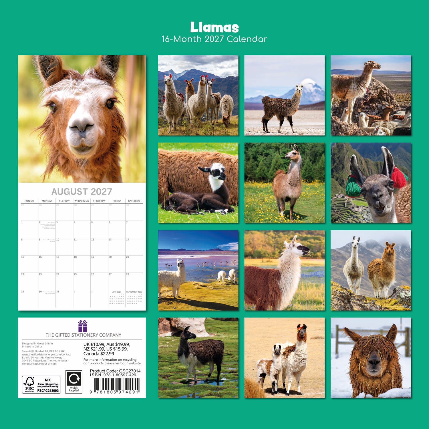 Animals_Llamas_2027_Back.jpg