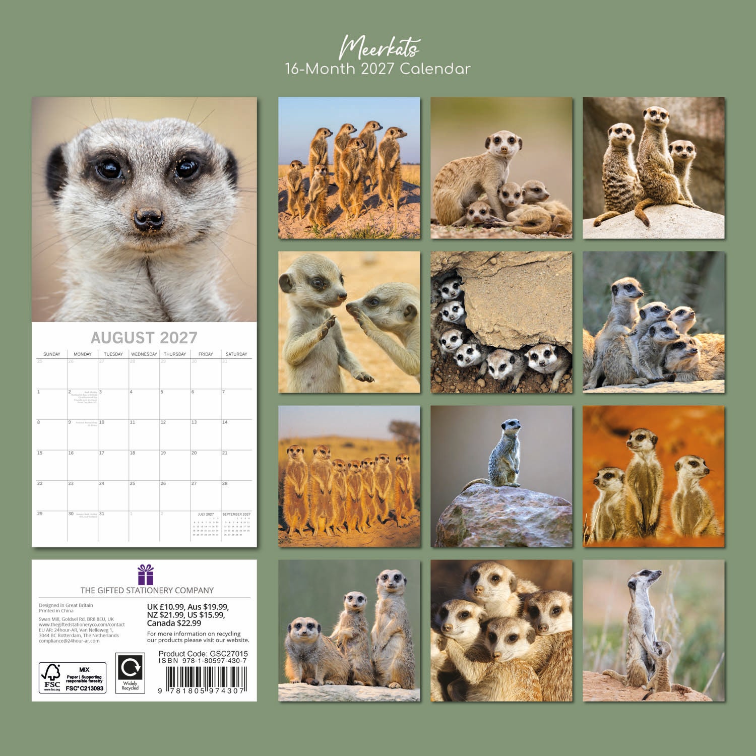 Animals_Meerkats_2027_Back.jpg