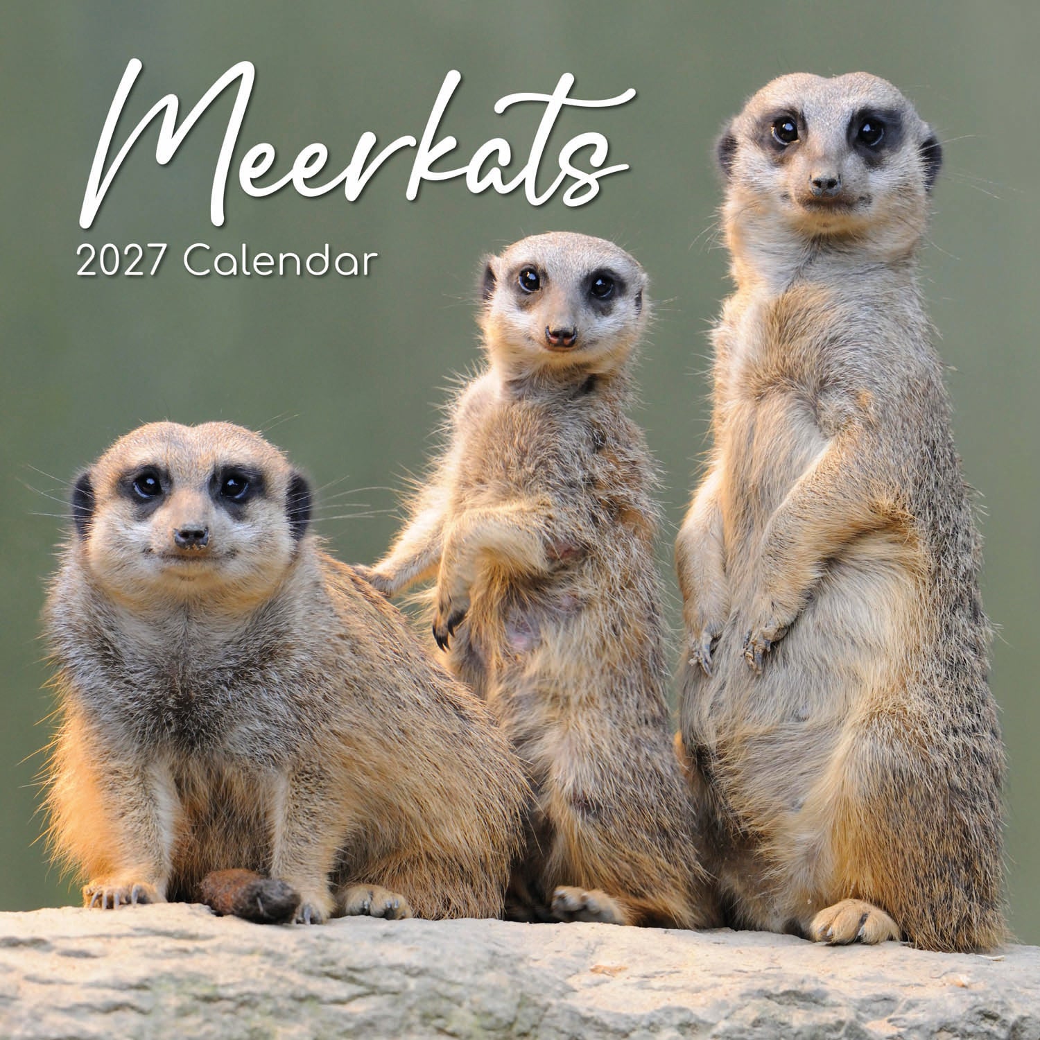 Animals_Meerkats_2027_Cover.jpg