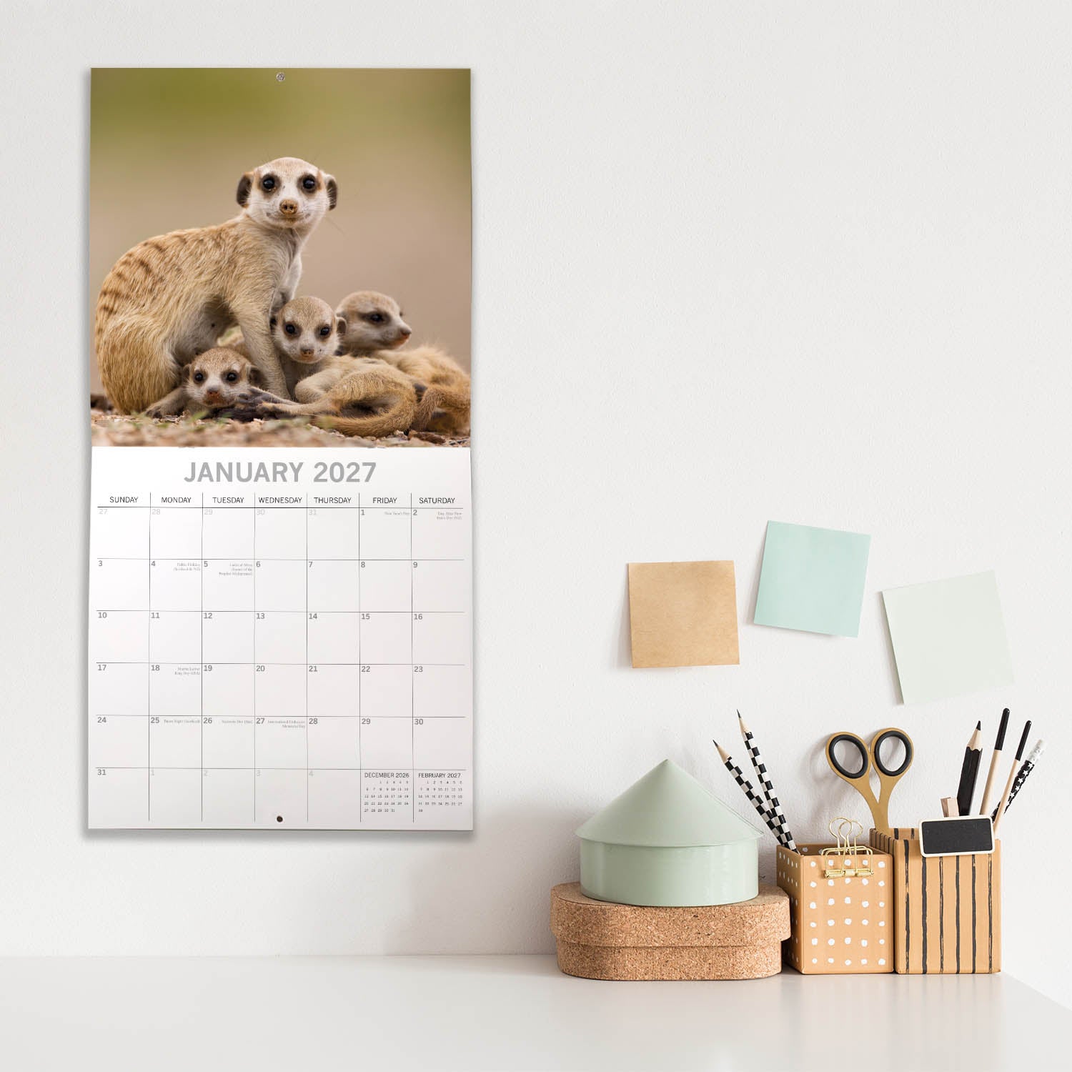 Animals_Meerkats_2027_Jan_LS.jpg