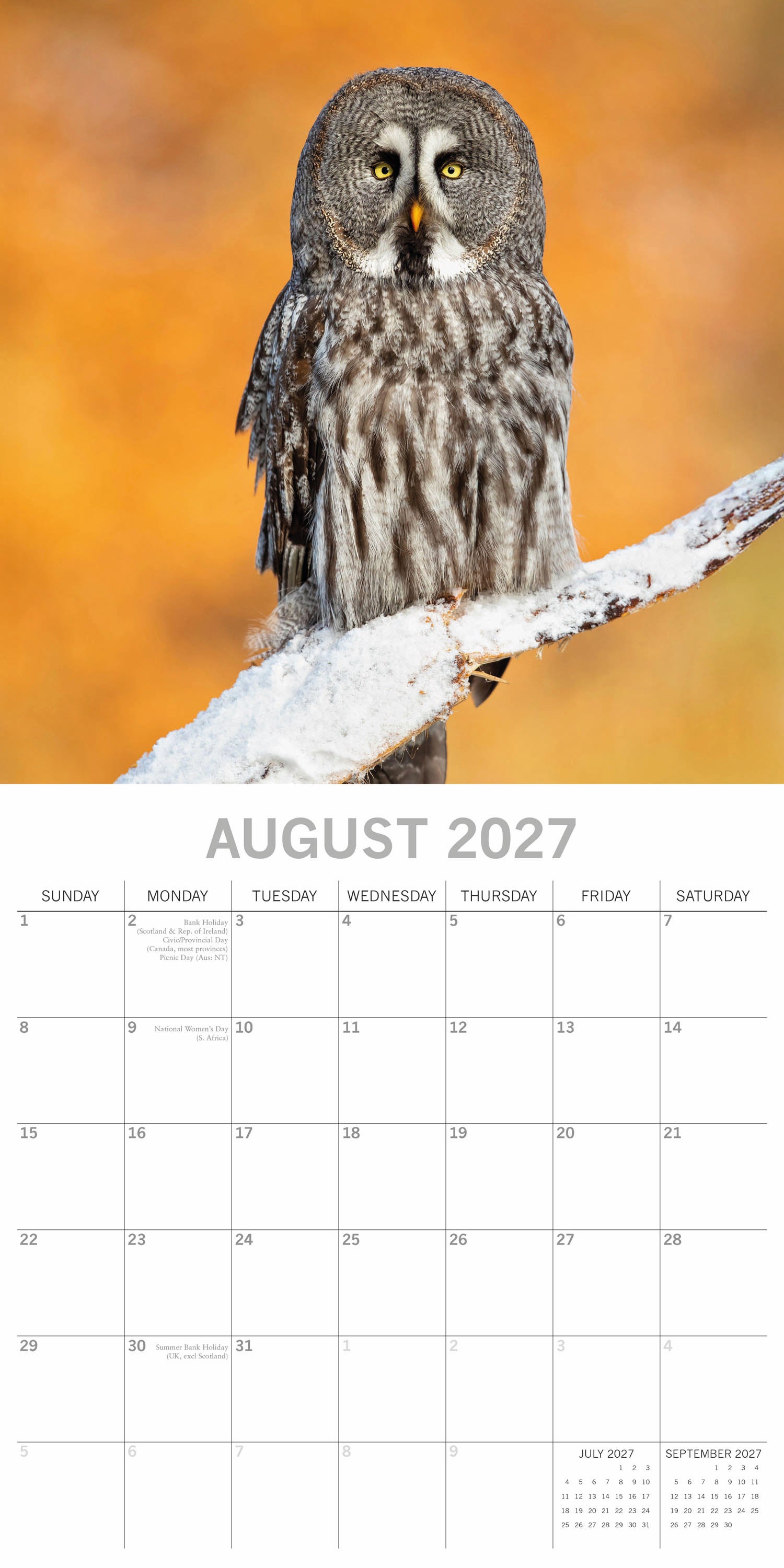 Animals_Owls_2027_Aug.jpg