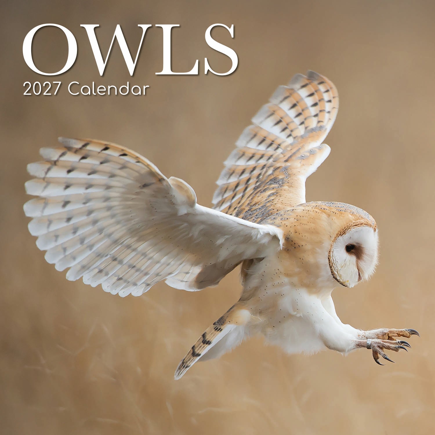 Animals_Owls_2027_Cover.jpg