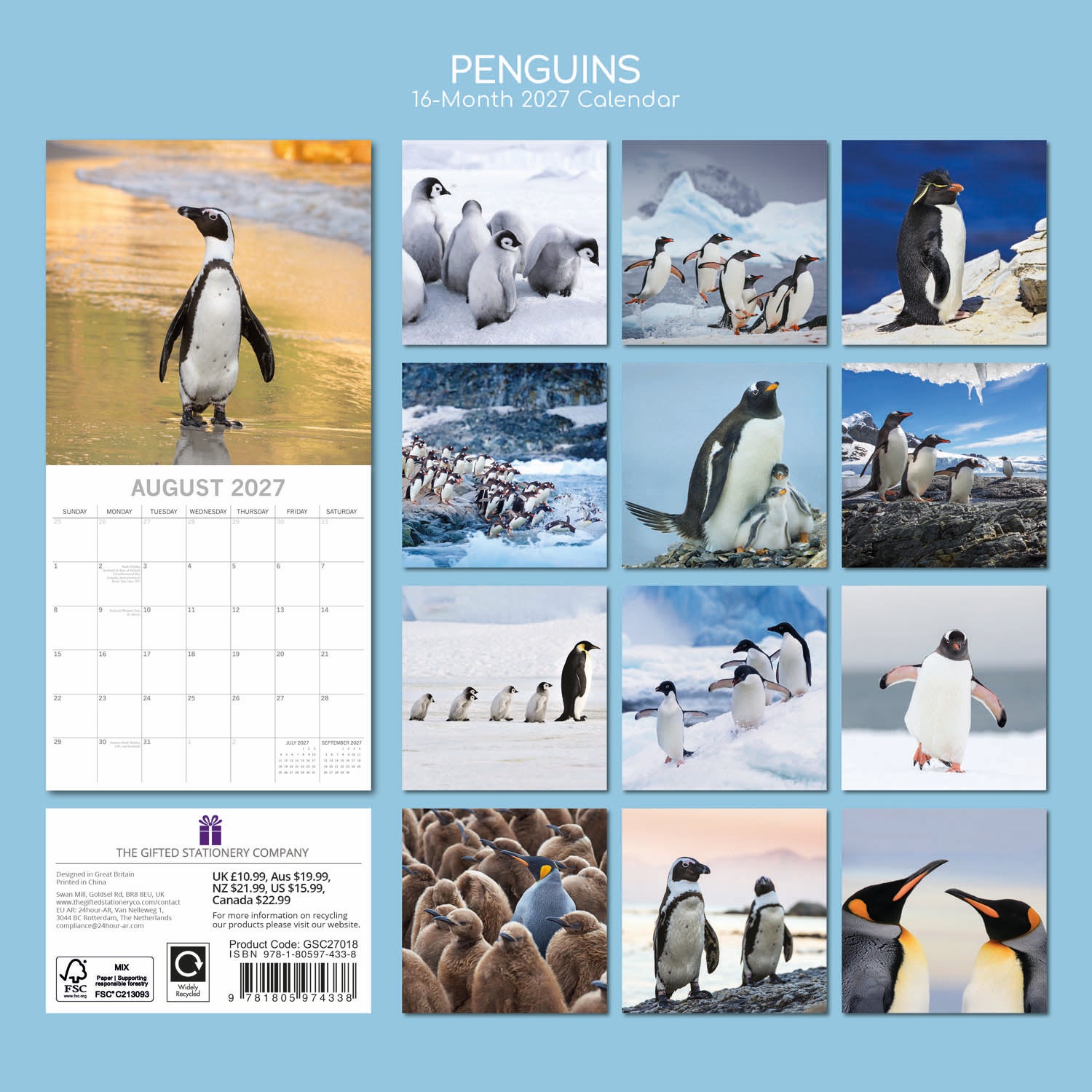 Animals_Penguins_2027_Back.jpg