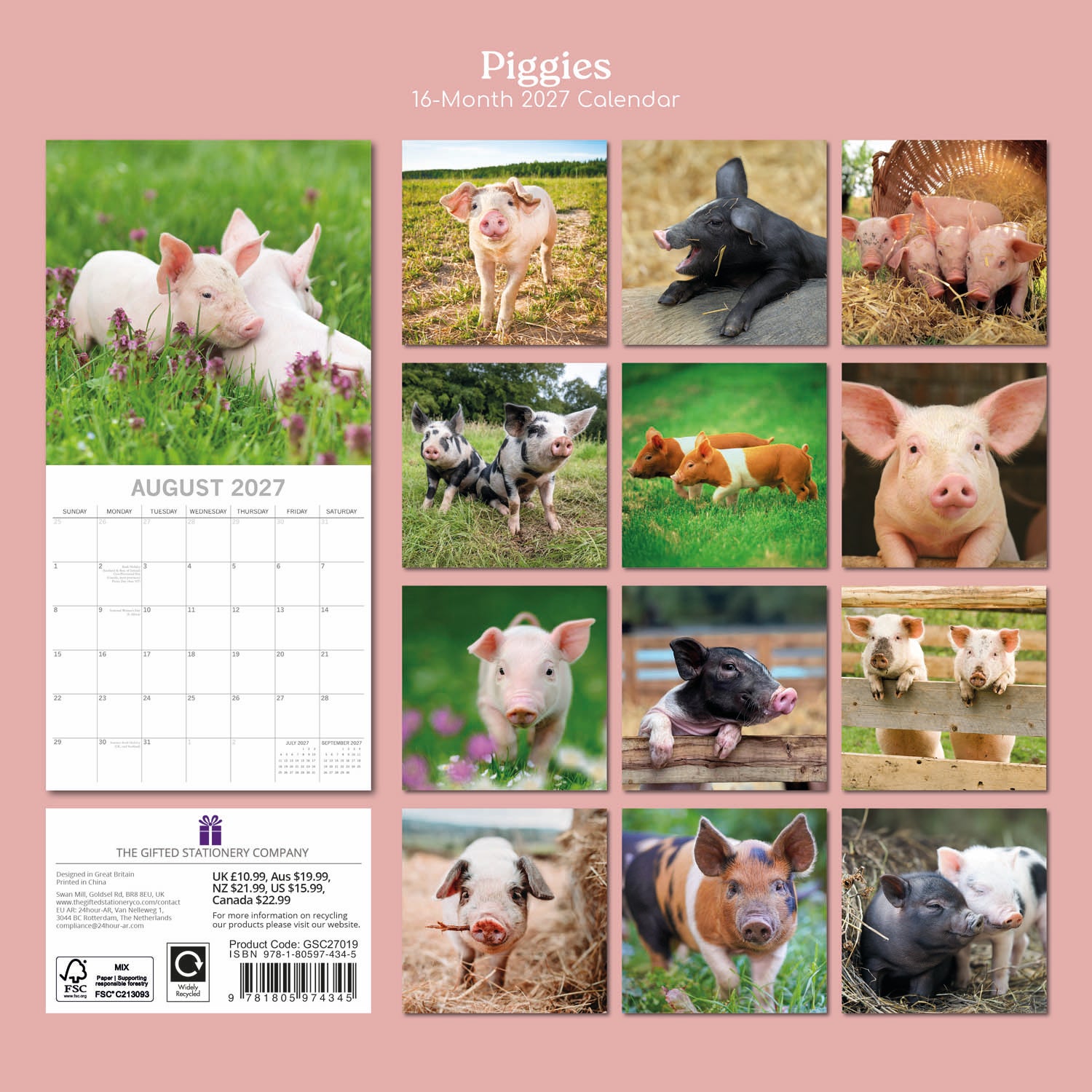 Animals_Piggies_2027_Back.jpg