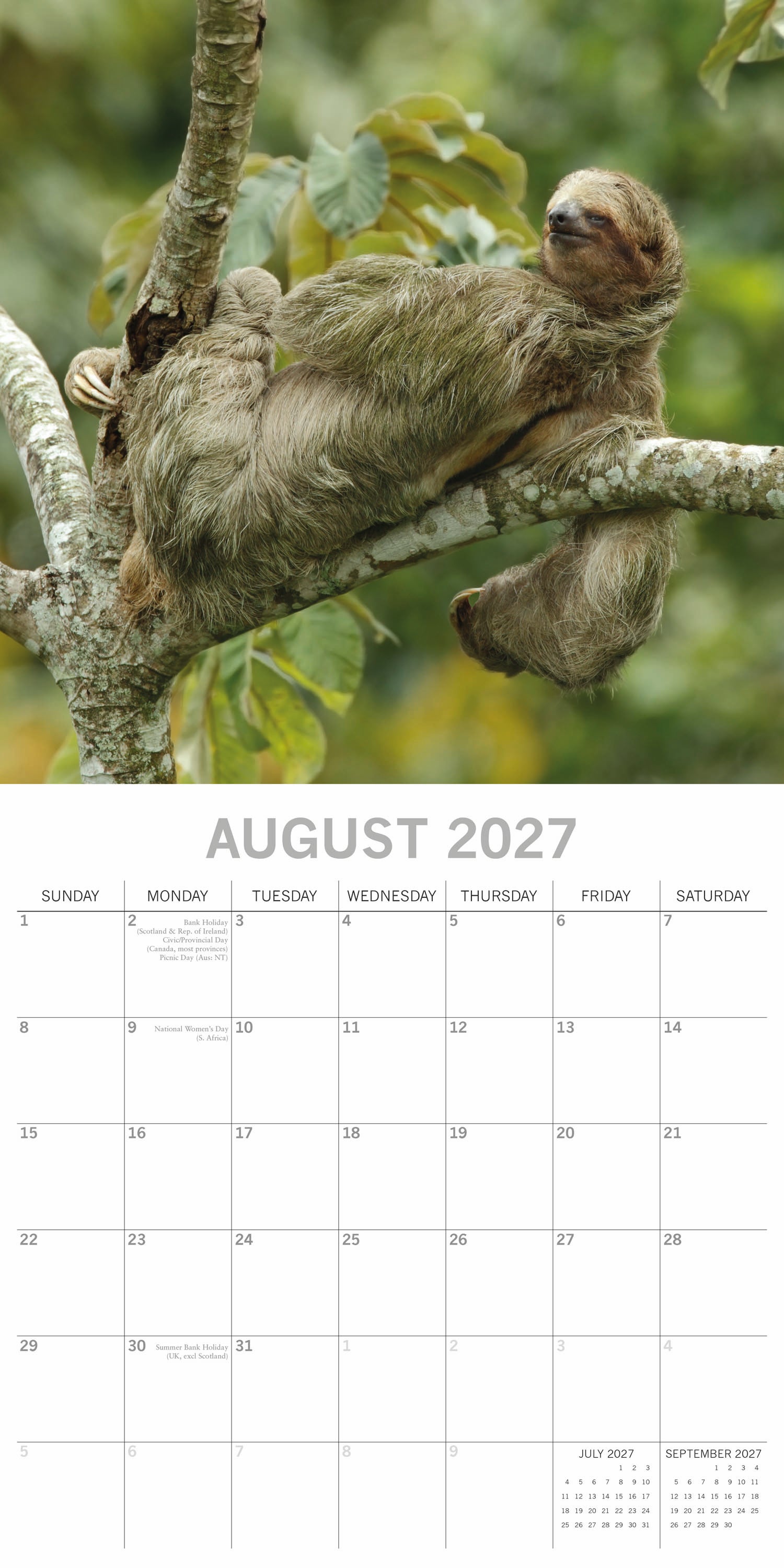 Animals_Sloths_2027_Aug.jpg
