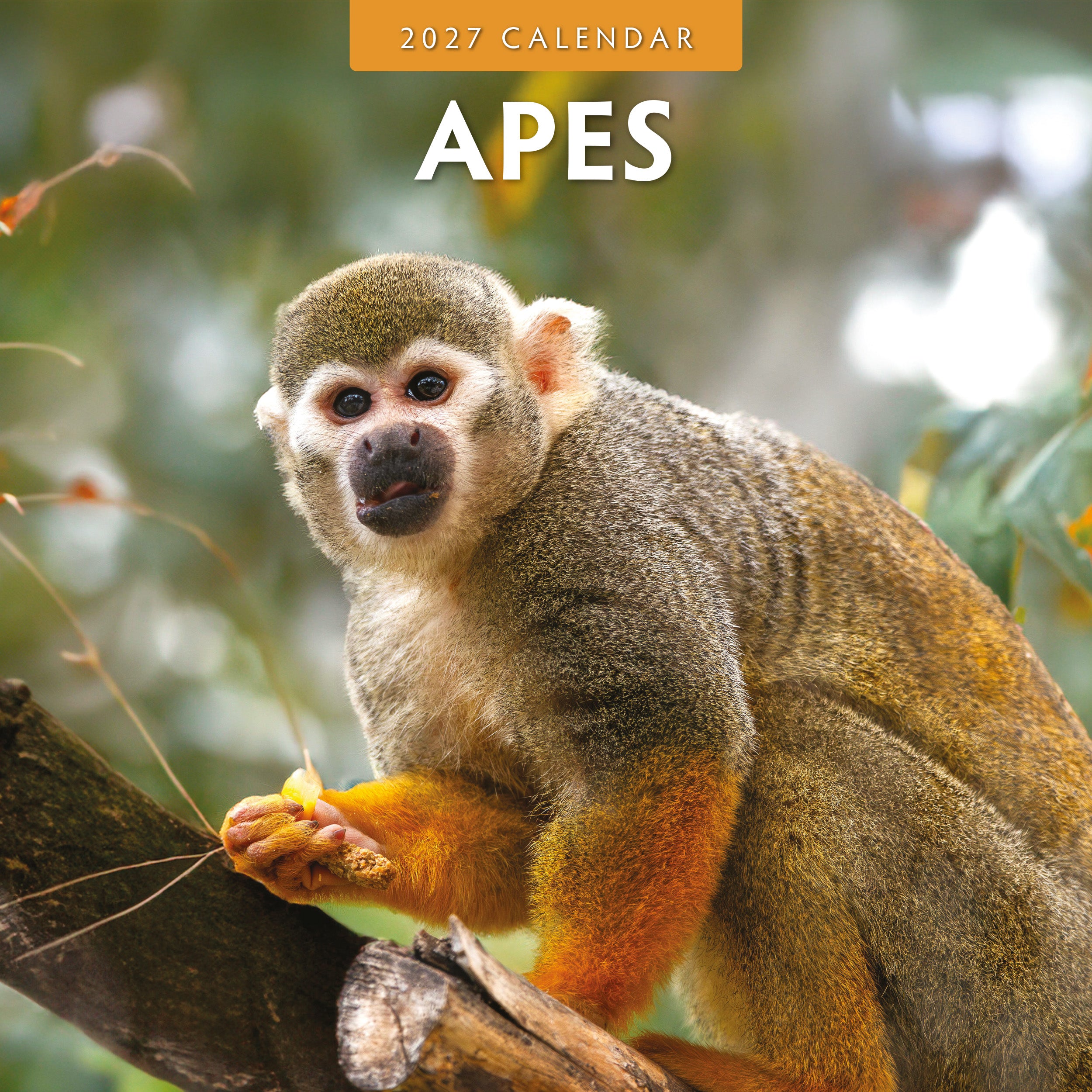 2027 Apes - Square Wall Calendar