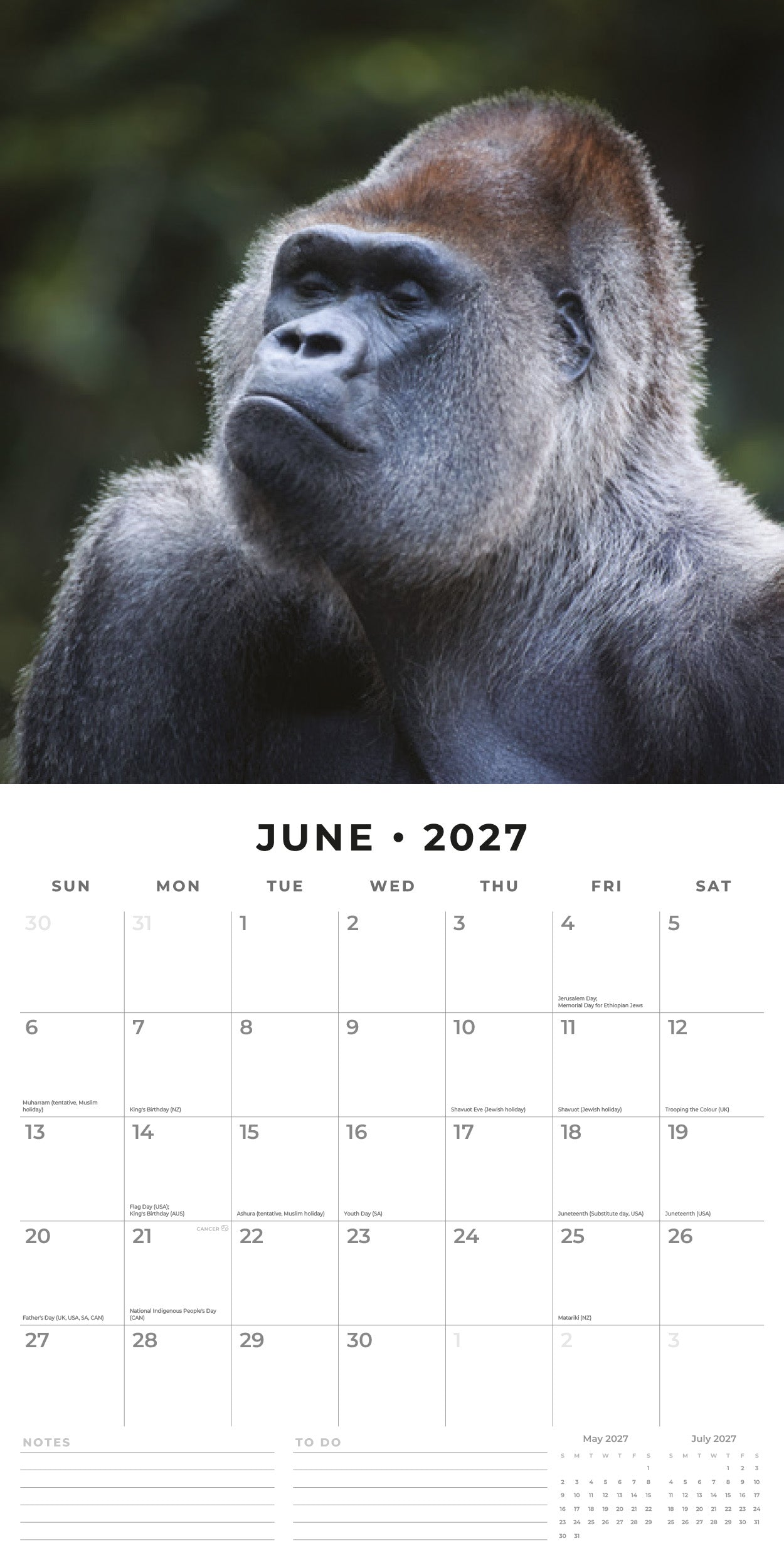 2027 Apes - Square Wall Calendar