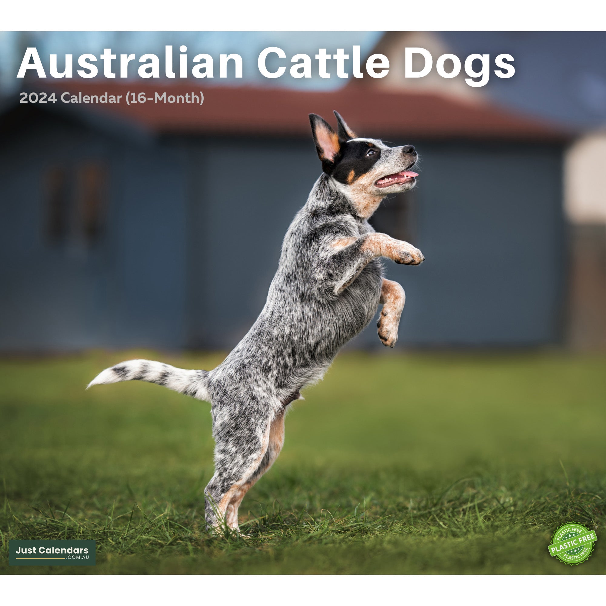 so excited for this cato board!! #dogtok #dogcommunity #australianshep