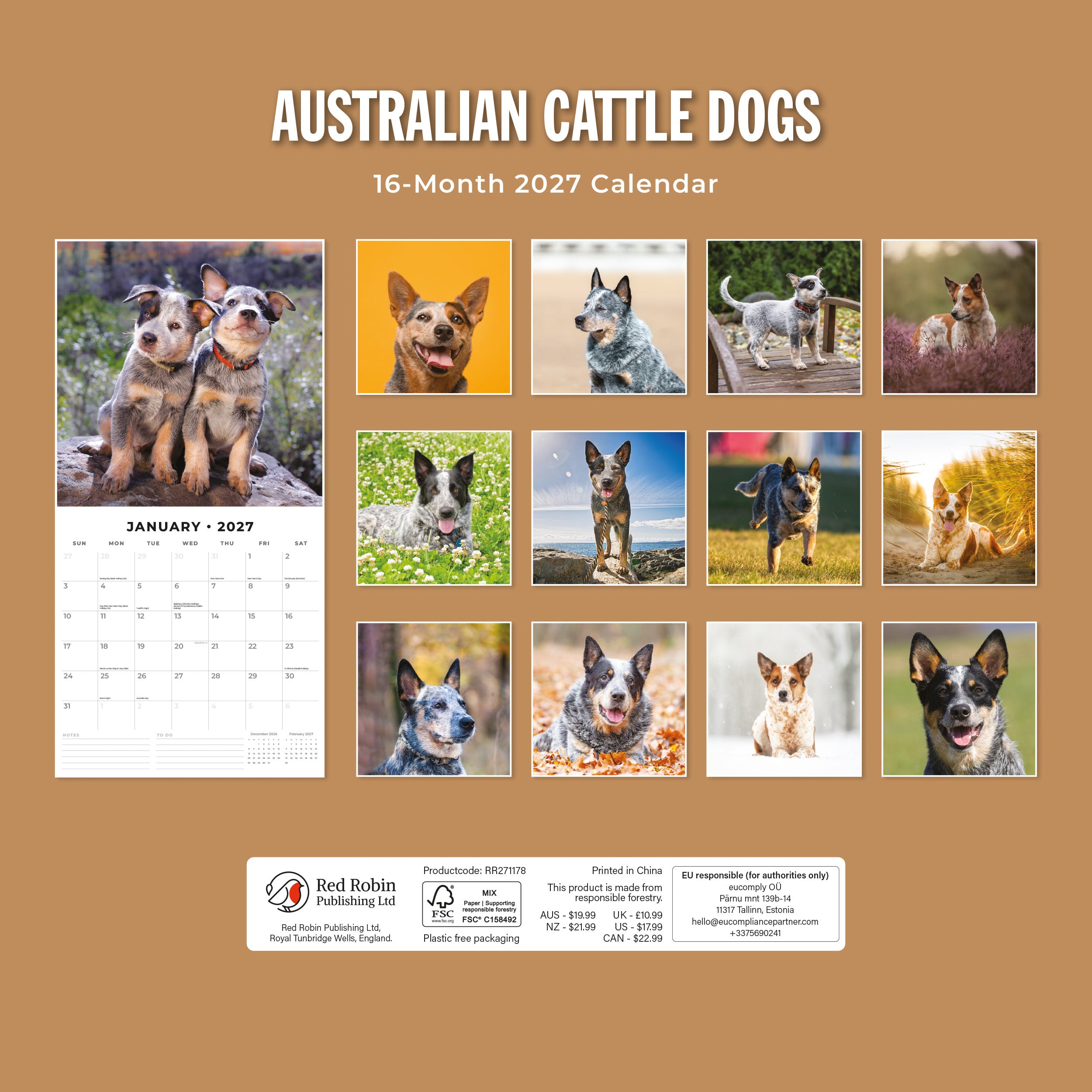 2027 Australian Cattle Dogs - Square Wall Calendar