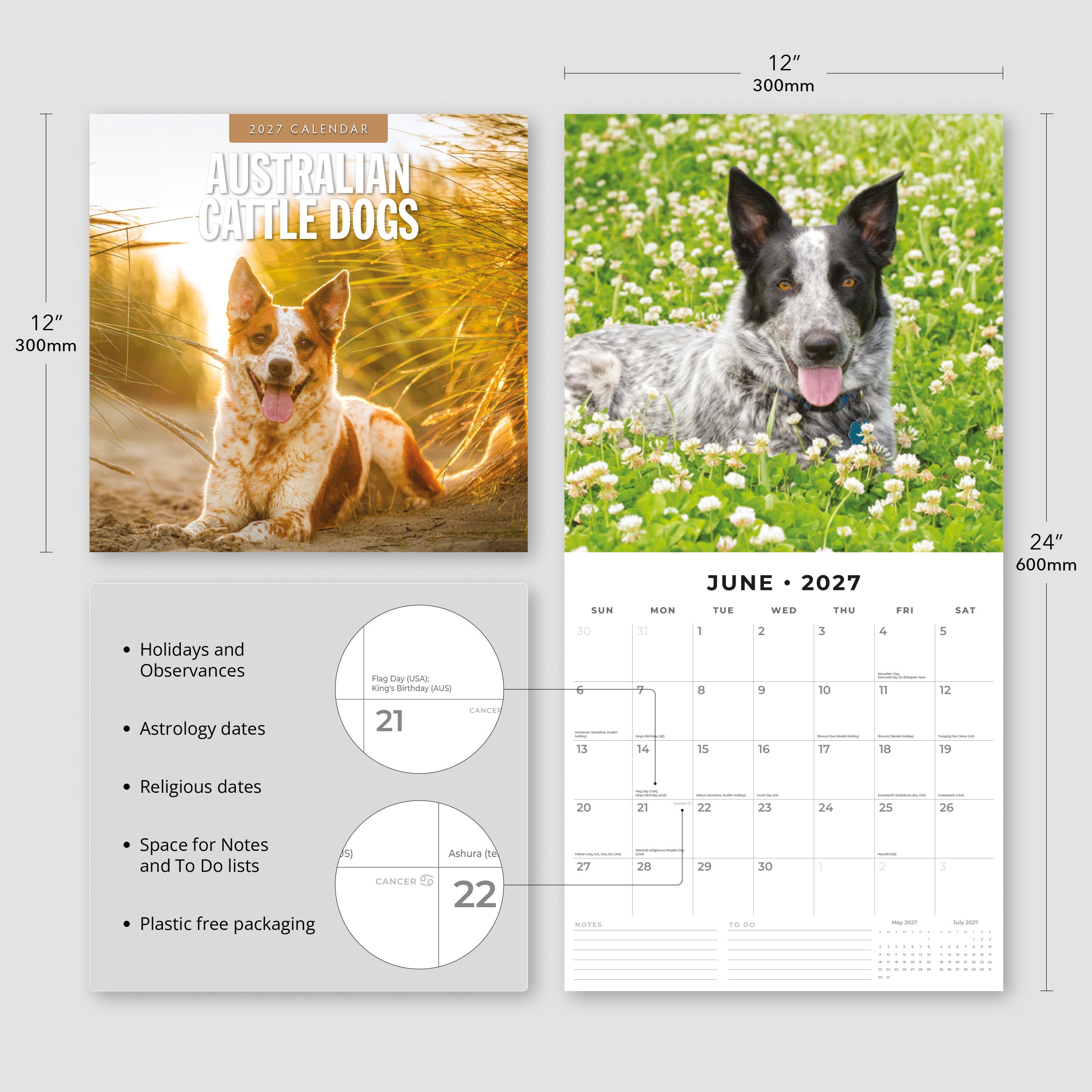 2027 Australian Cattle Dogs - Square Wall Calendar