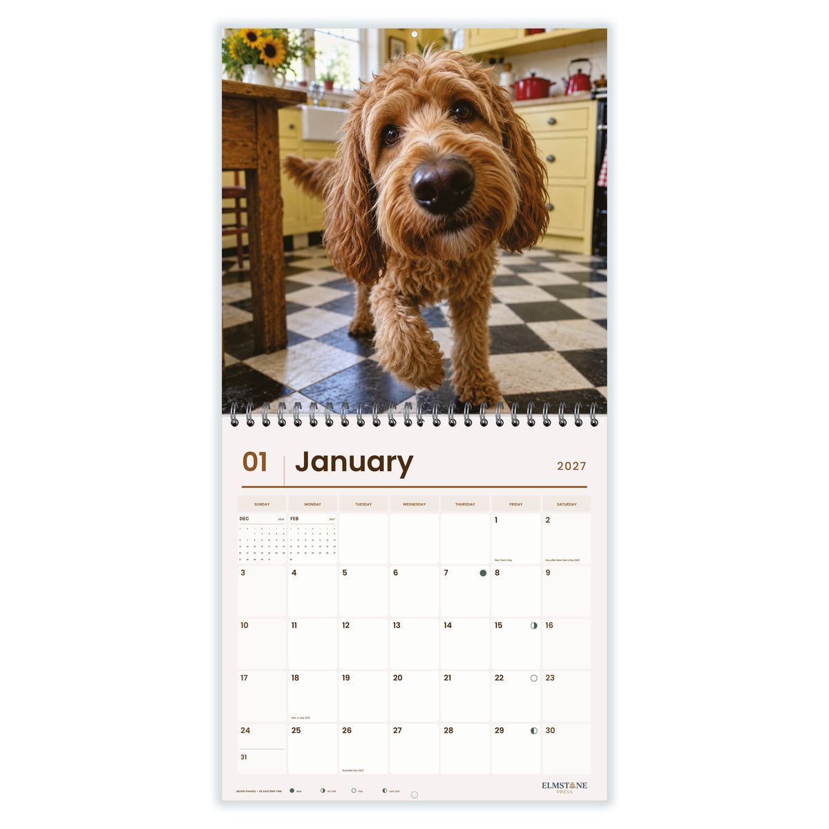Australian_Cobberdogs_-_649310203321_-_02-january-open-white.jpg