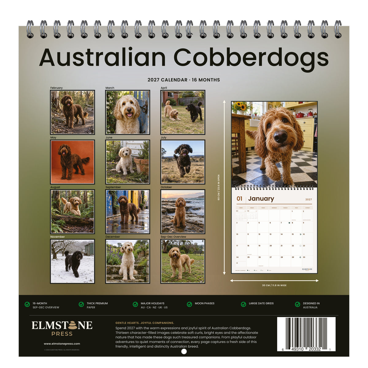 Australian_Cobberdogs_-_649310203321_-_05-back-cover-white.jpg
