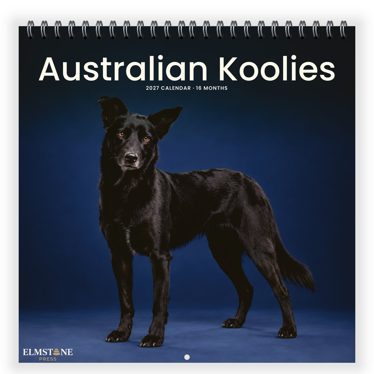 Australian_Koolies_-_649310203062_-_01-front-cover-white.jpg