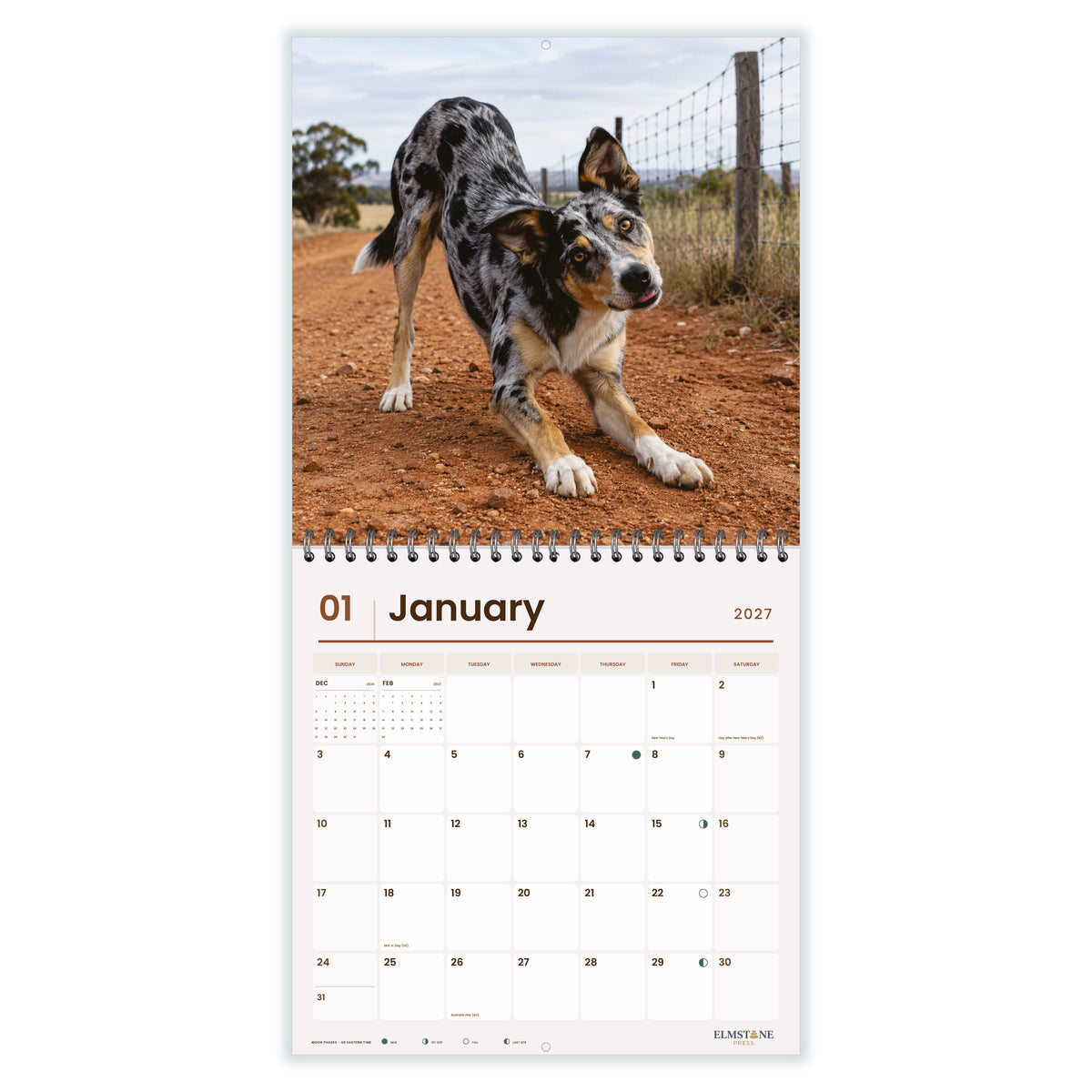 Australian_Koolies_-_649310203062_-_02-january-open-white.jpg