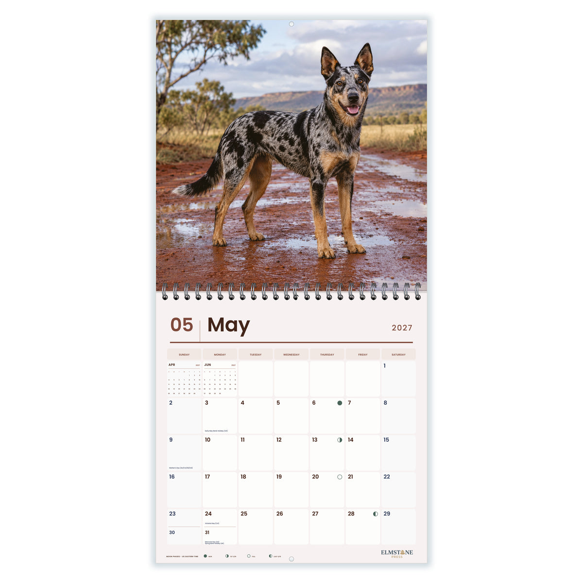 Australian_Koolies_-_649310203062_-_03-may-open-white.jpg