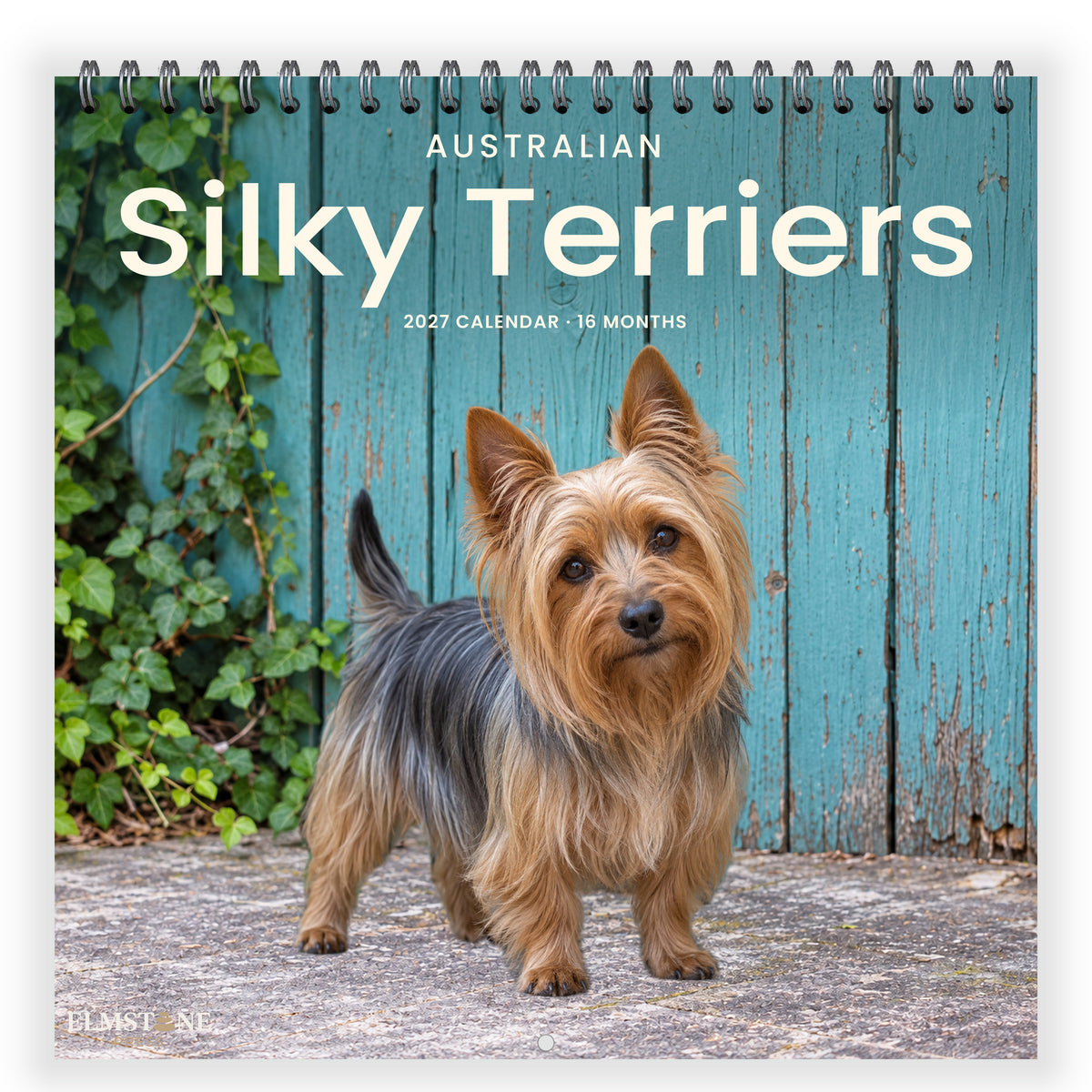 Australian_Silky_Terriers_-_649310202836_-_01-front-cover-white.jpg