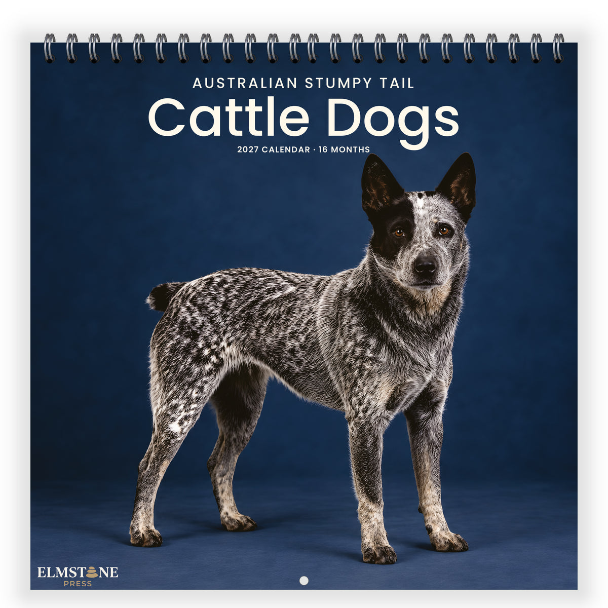 Australian_Stumpy_Tail_Cattle_Dogs_-_649310202843_-_01-front-cover-white.jpg