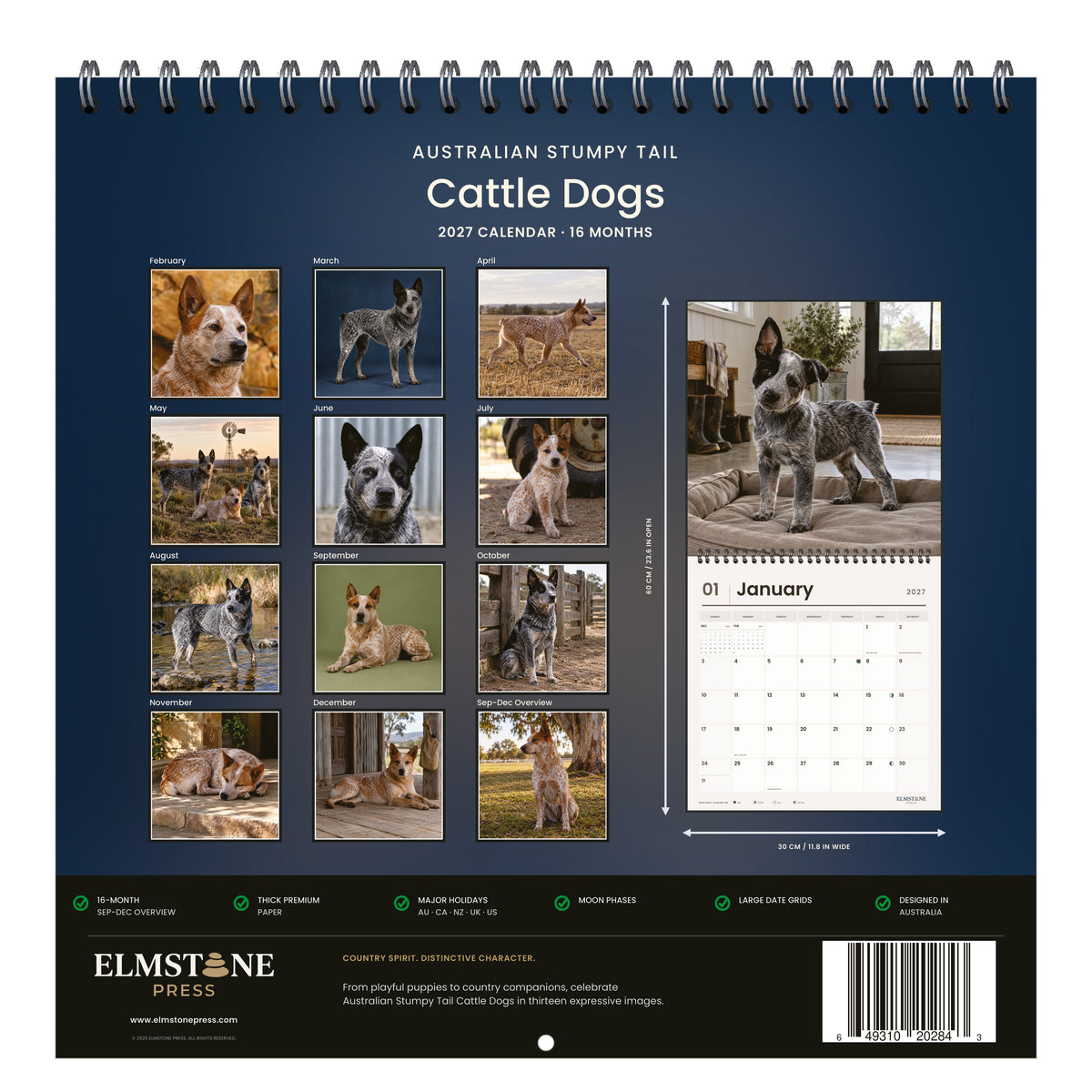 Australian_Stumpy_Tail_Cattle_Dogs_-_649310202843_-_05-back-cover-white.jpg