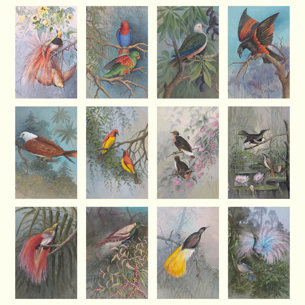2027 Ellis Rowan Birds - Desk Easel Calendar