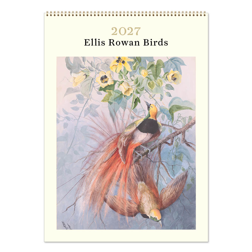 2027 Ellis Rowan Birds - Deluxe Wall Calendar