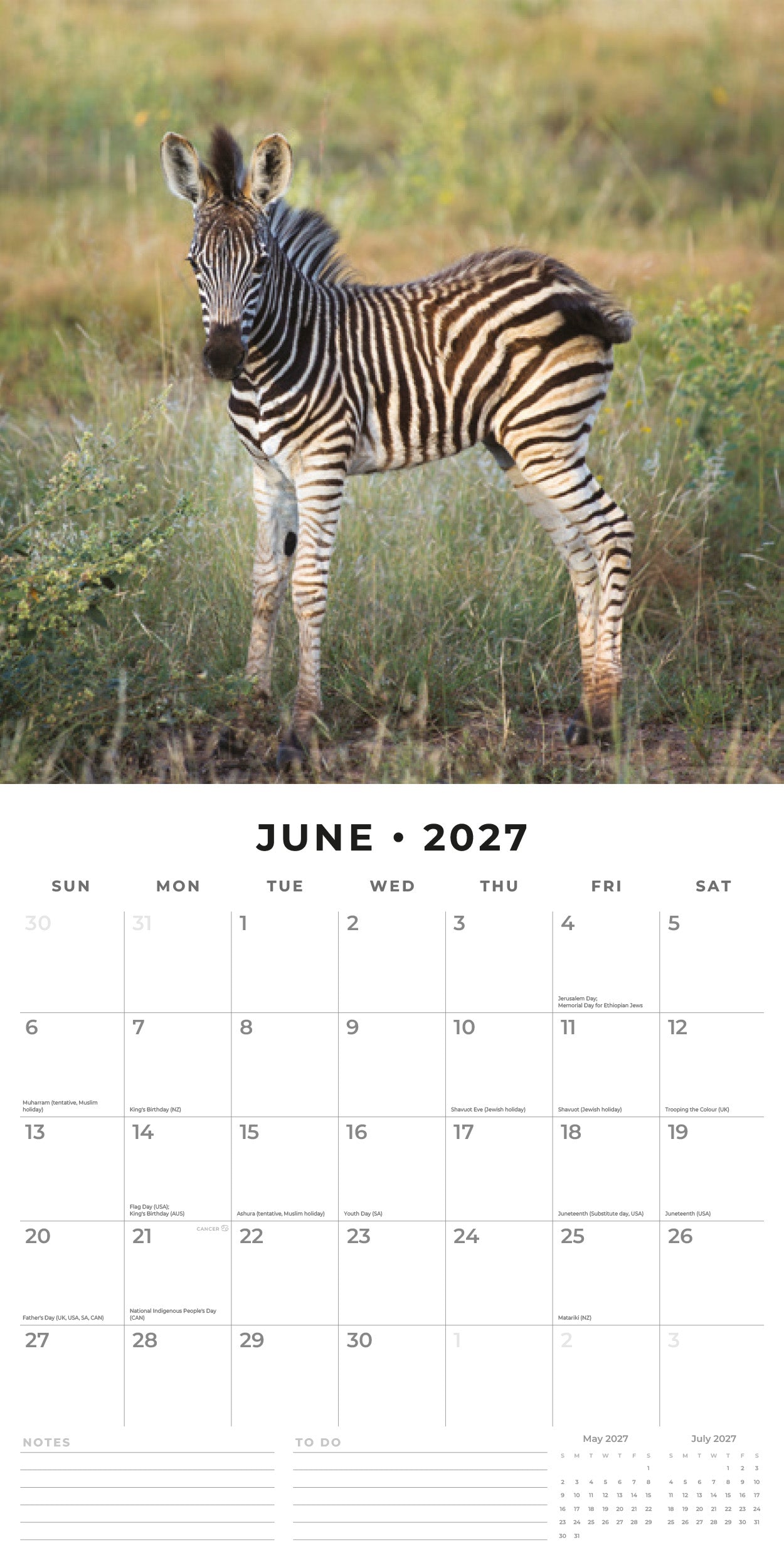 2027 Baby Animals - Square Wall Calendar