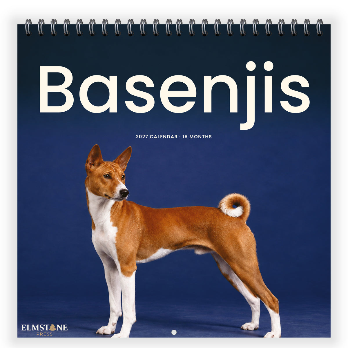 Basenjis_-_649310203338_-_01-front-cover-white.jpg