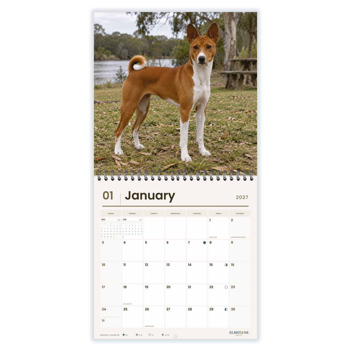 Basenjis_-_649310203338_-_02-january-open-white.jpg