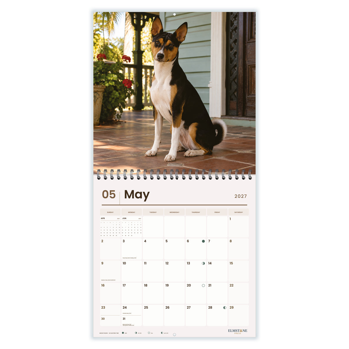Basenjis_-_649310203338_-_03-may-open-white.jpg