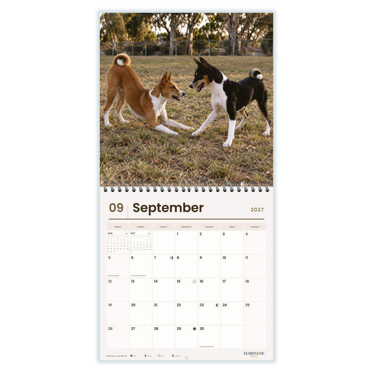 Basenjis_-_649310203338_-_04-september-open-white.jpg