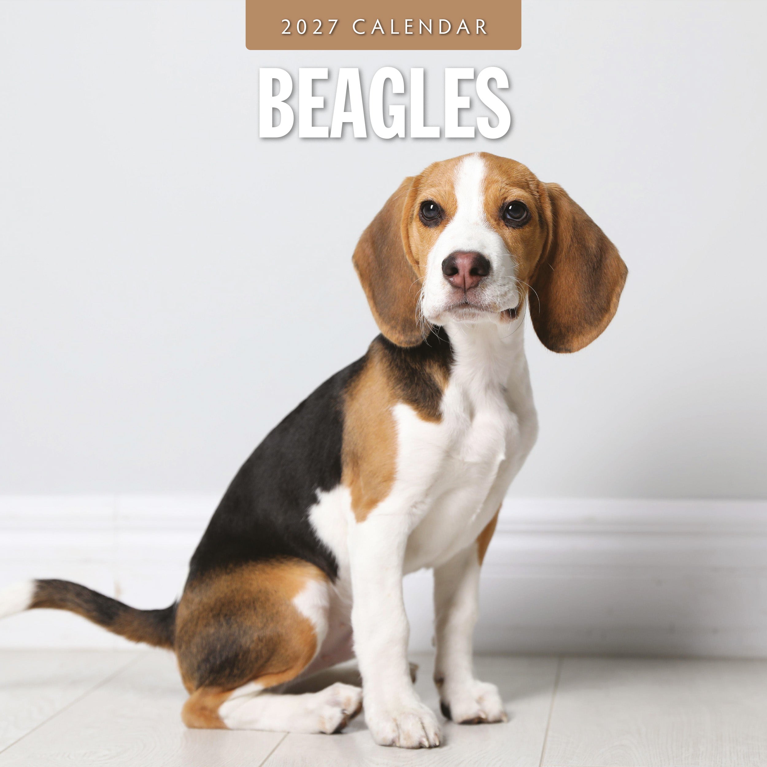 2027 Beagles - Square Wall Calendar