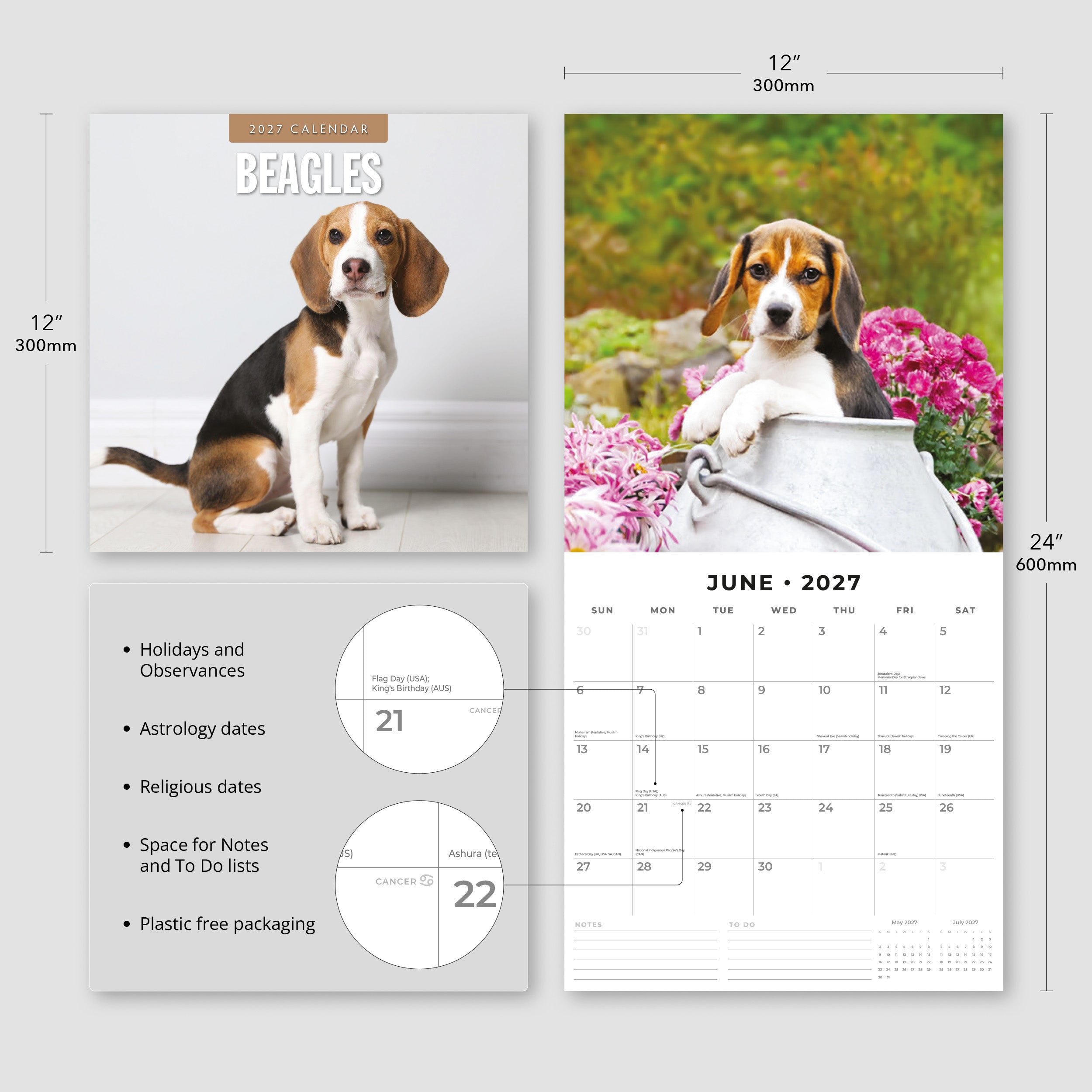 2027 Beagles - Square Wall Calendar