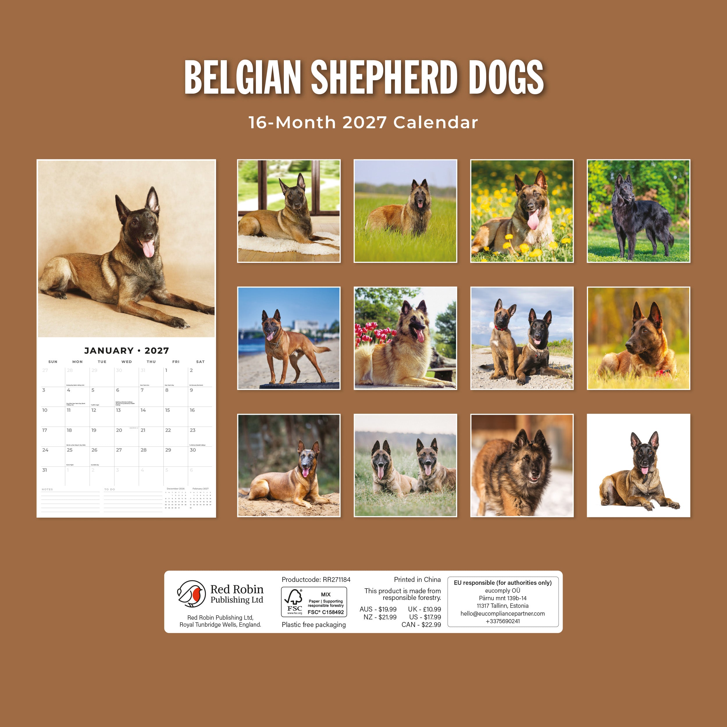 2027 Belgian Shepherd Dogs - Square Wall Calendar
