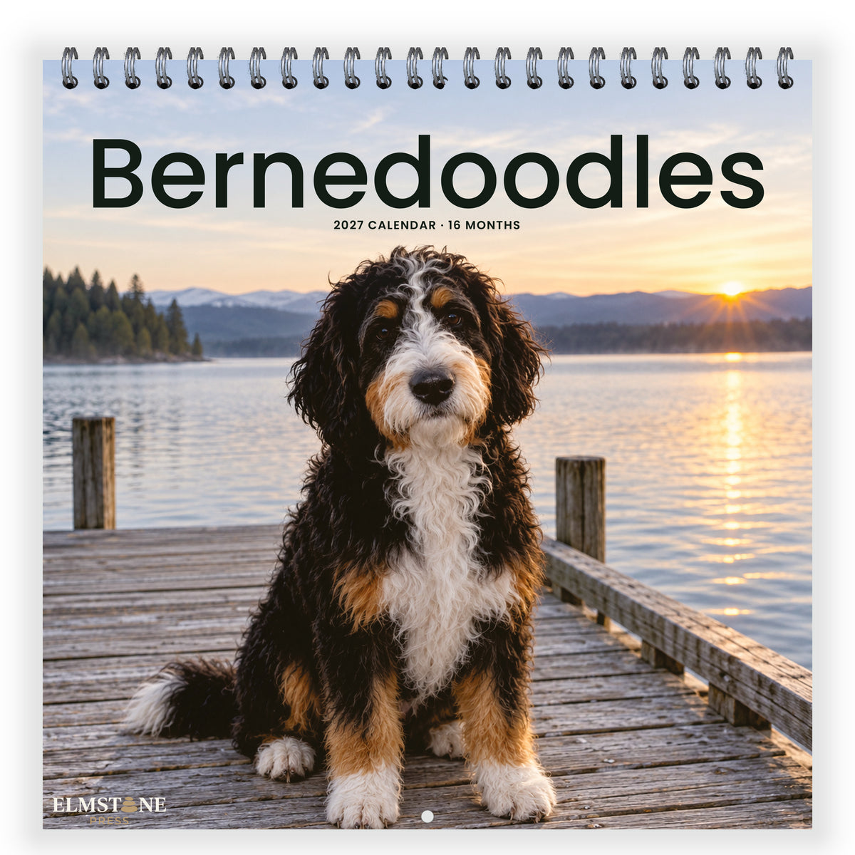 Bernedoodles_-_649310203345_-_01-front-cover-white.jpg