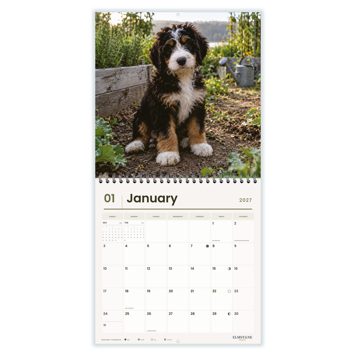 Bernedoodles_-_649310203345_-_02-january-open-white.jpg