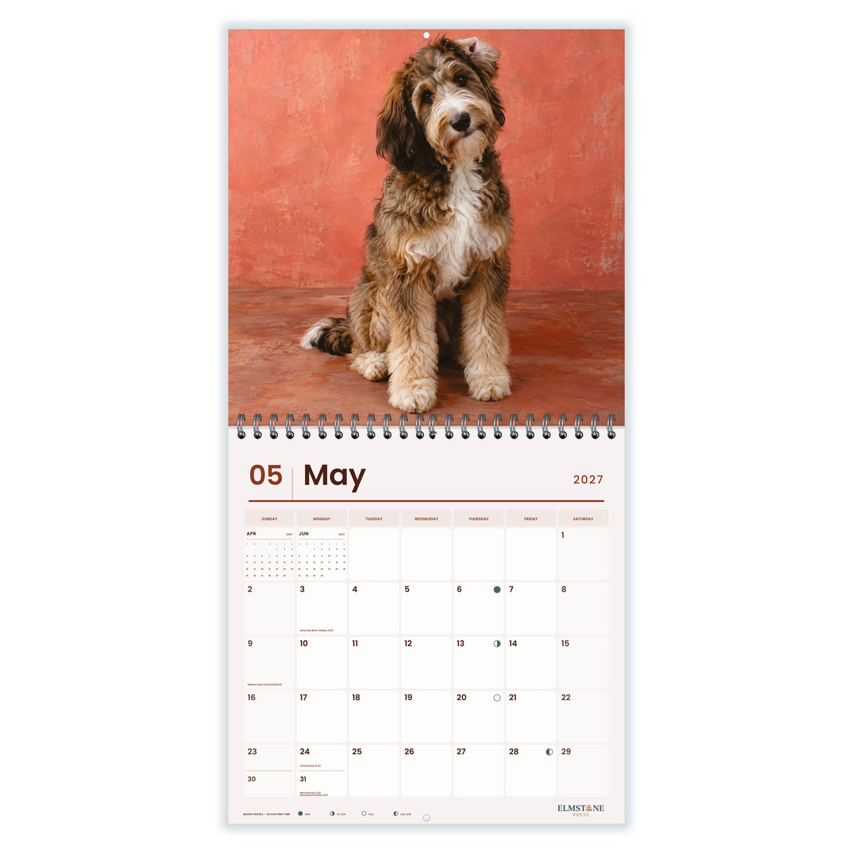 Bernedoodles_-_649310203345_-_03-may-open-white.jpg