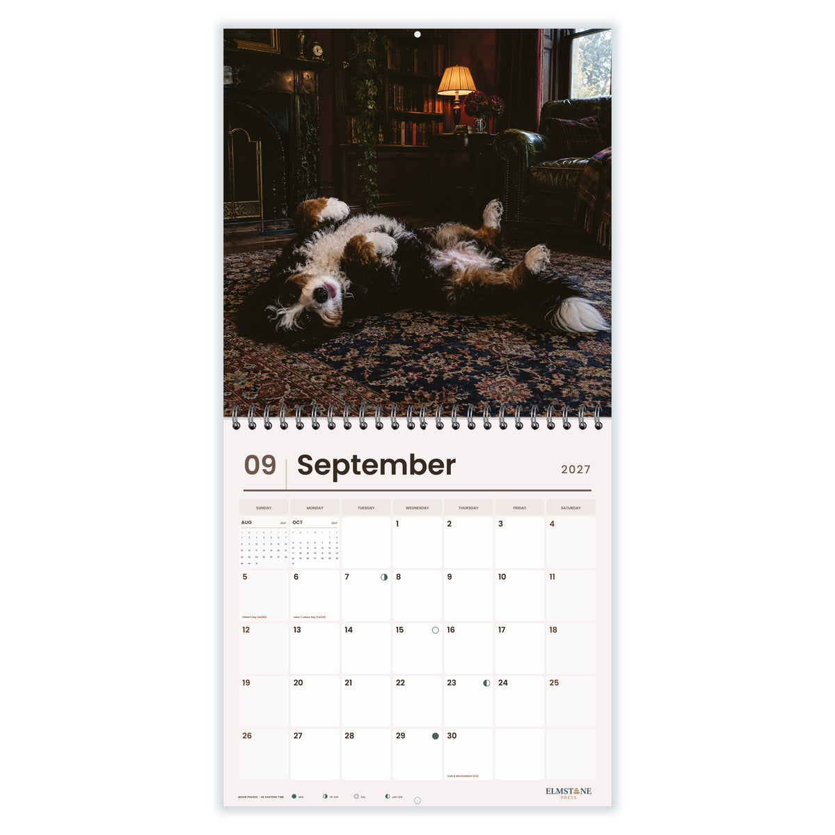 Bernedoodles_-_649310203345_-_04-september-open-white.jpg