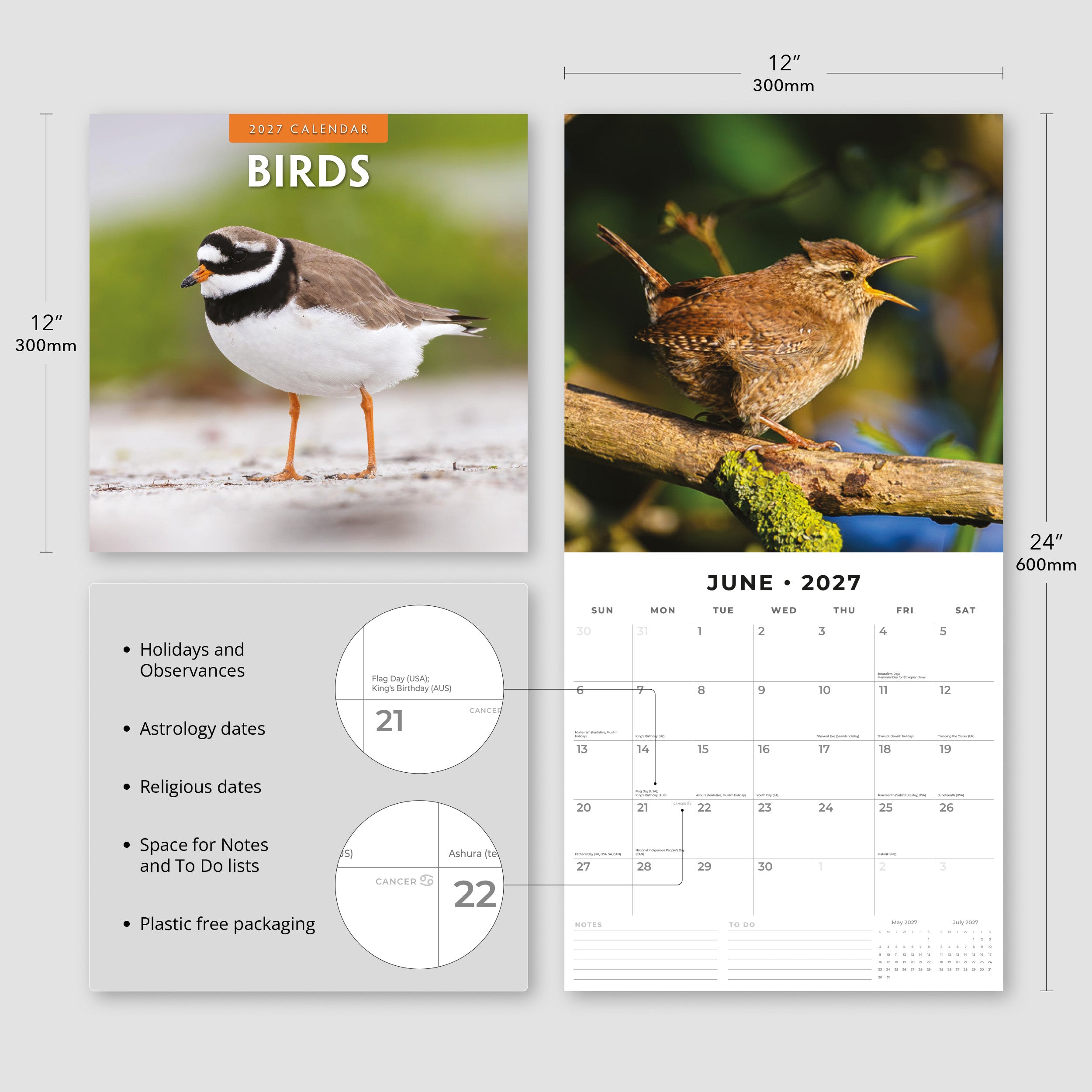 2027 Birds - Square Wall Calendar