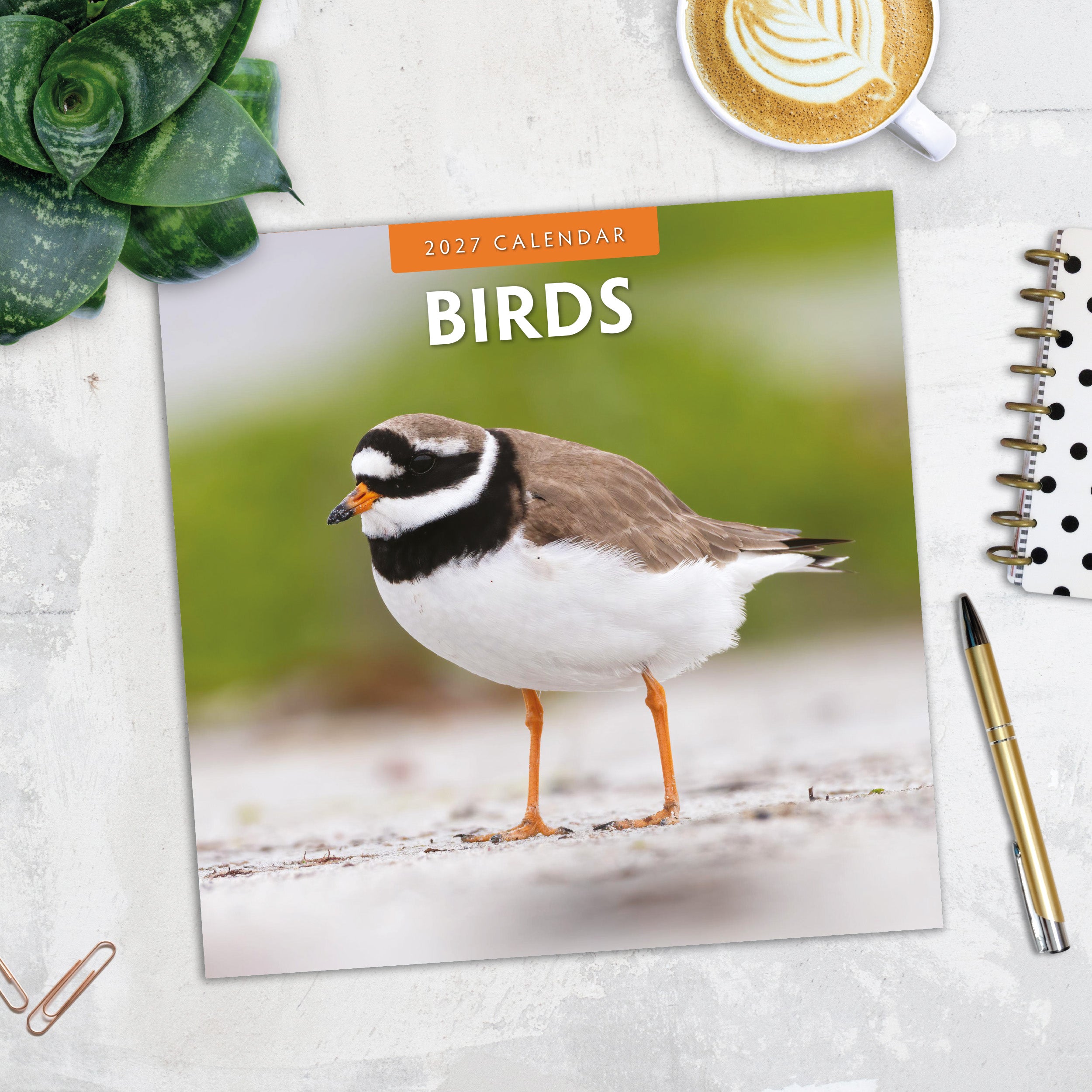 2027 Birds - Square Wall Calendar