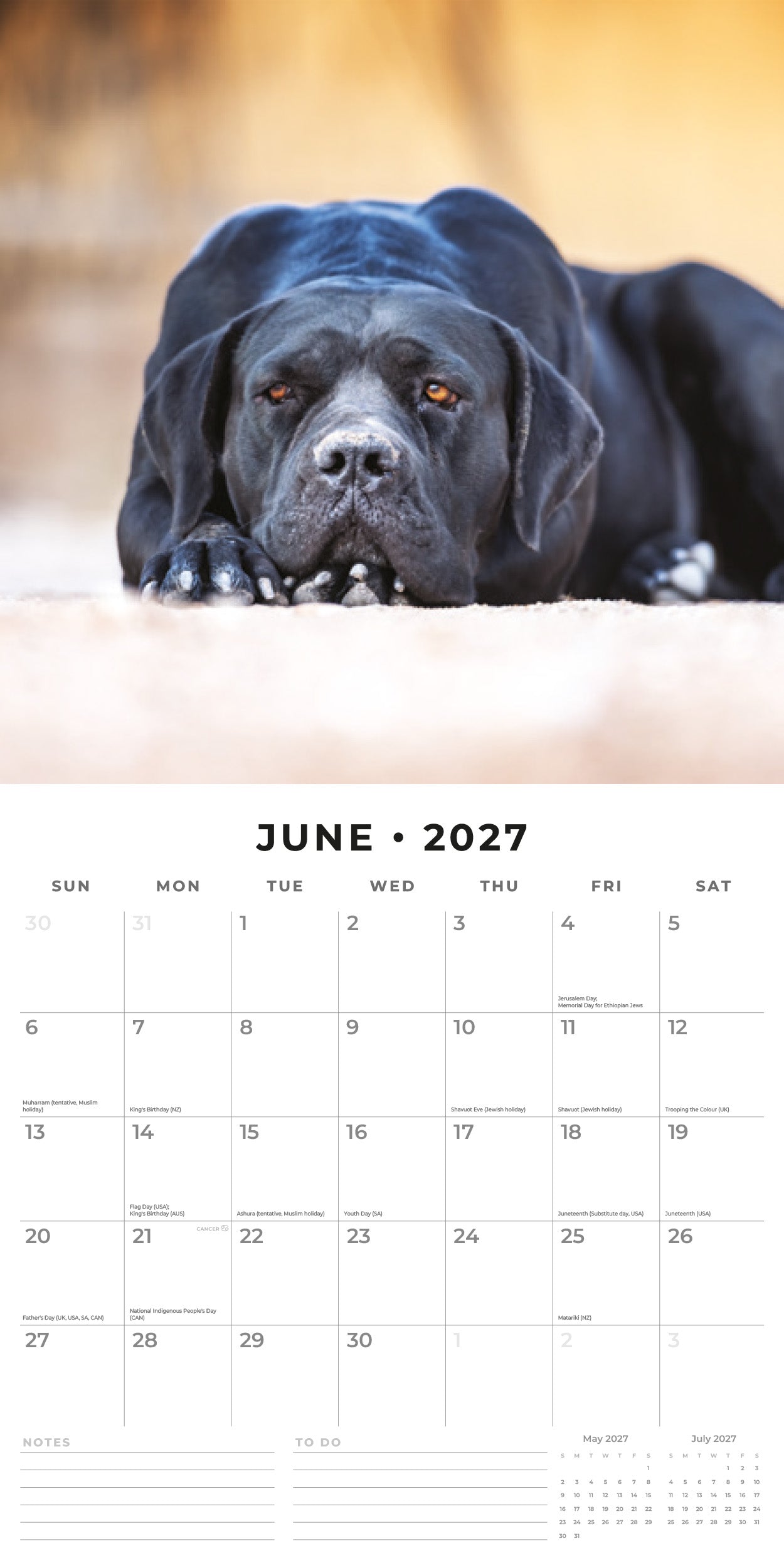 2027 Black Labradors - Square Wall Calendar